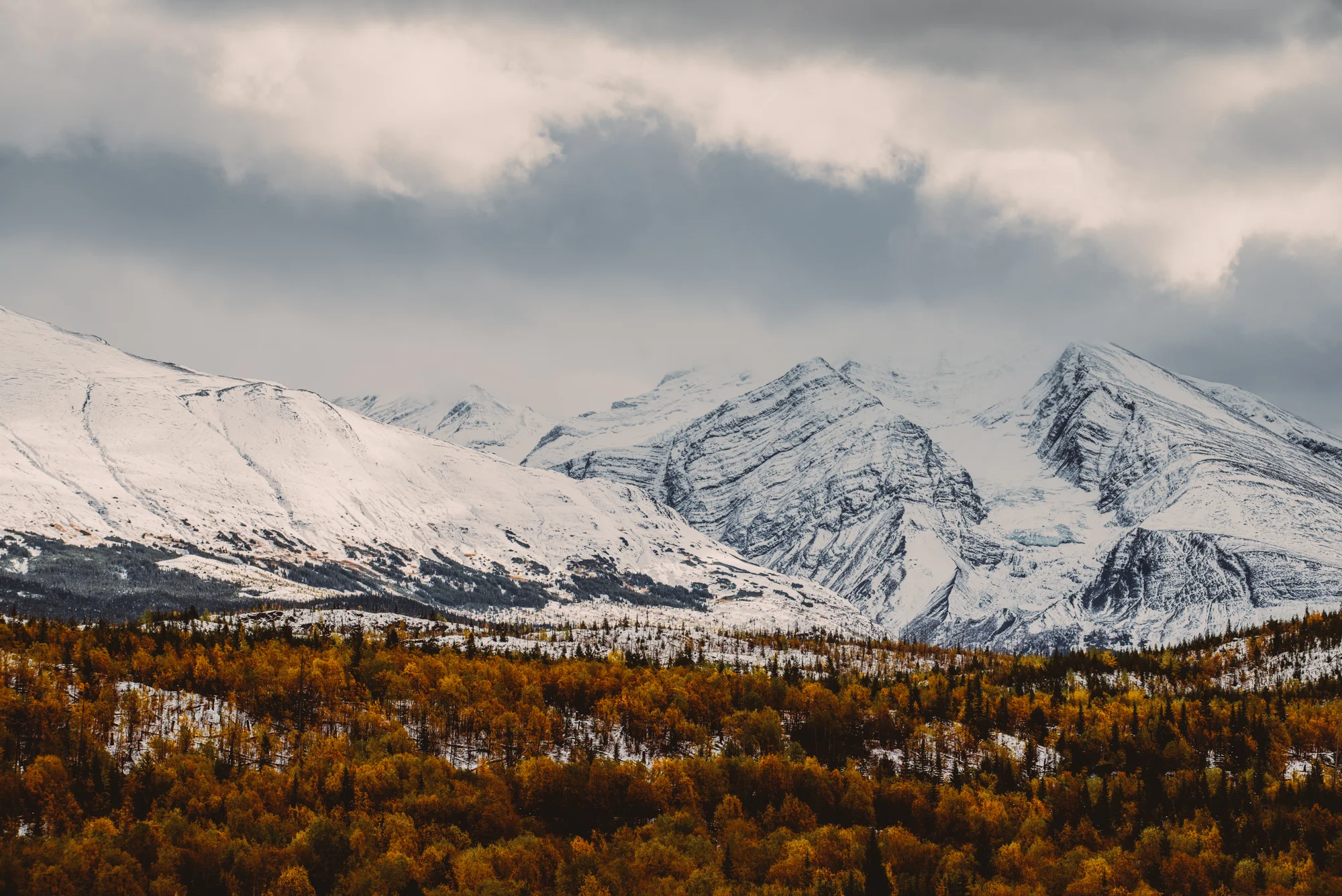 DSC_3089-2.jpg