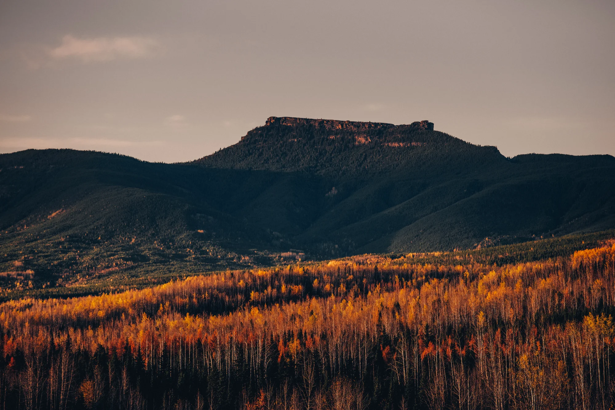 Peace River Valley