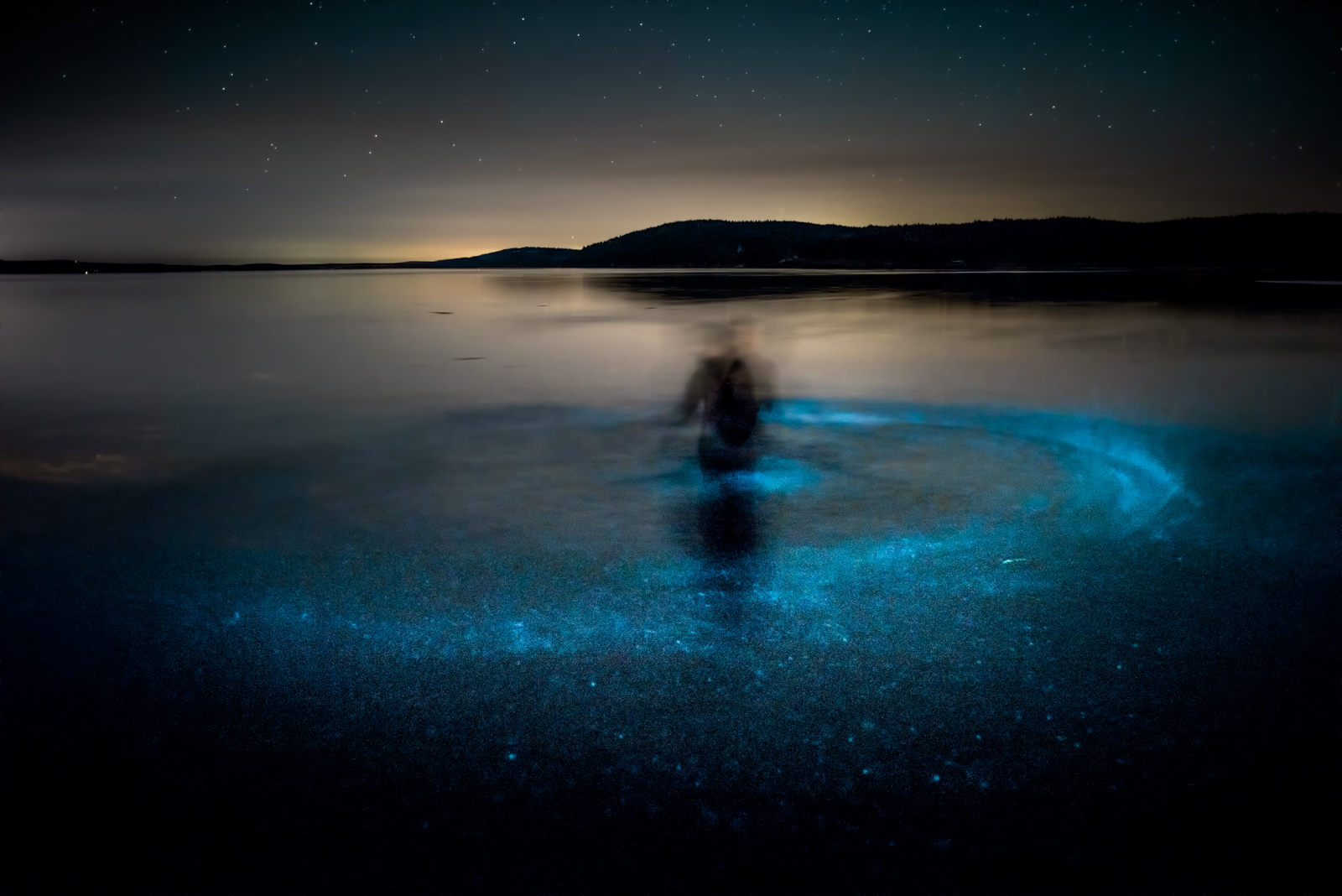bioluminescence-2-2.jpg