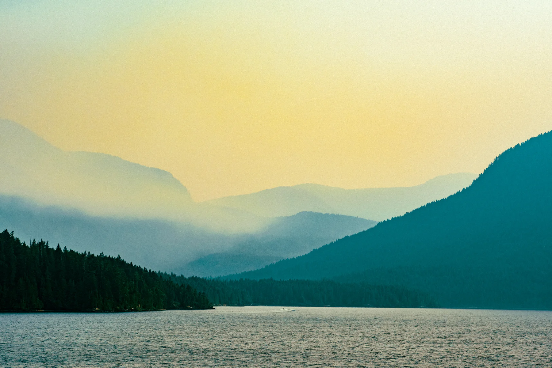wildfire_DSC_8802-2_©_.jpg