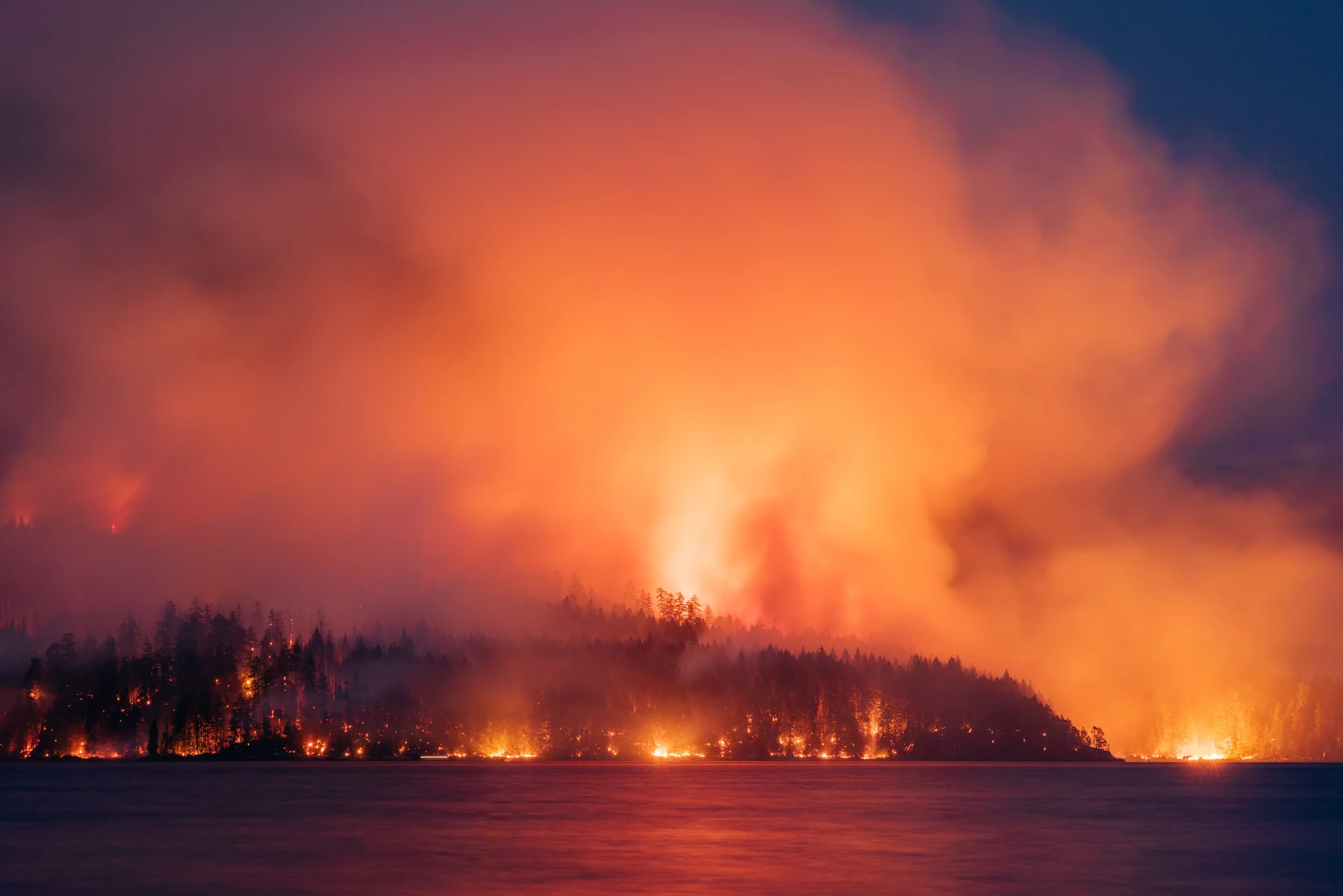 wildfire_dogmountain-DSC_9006-.jpg