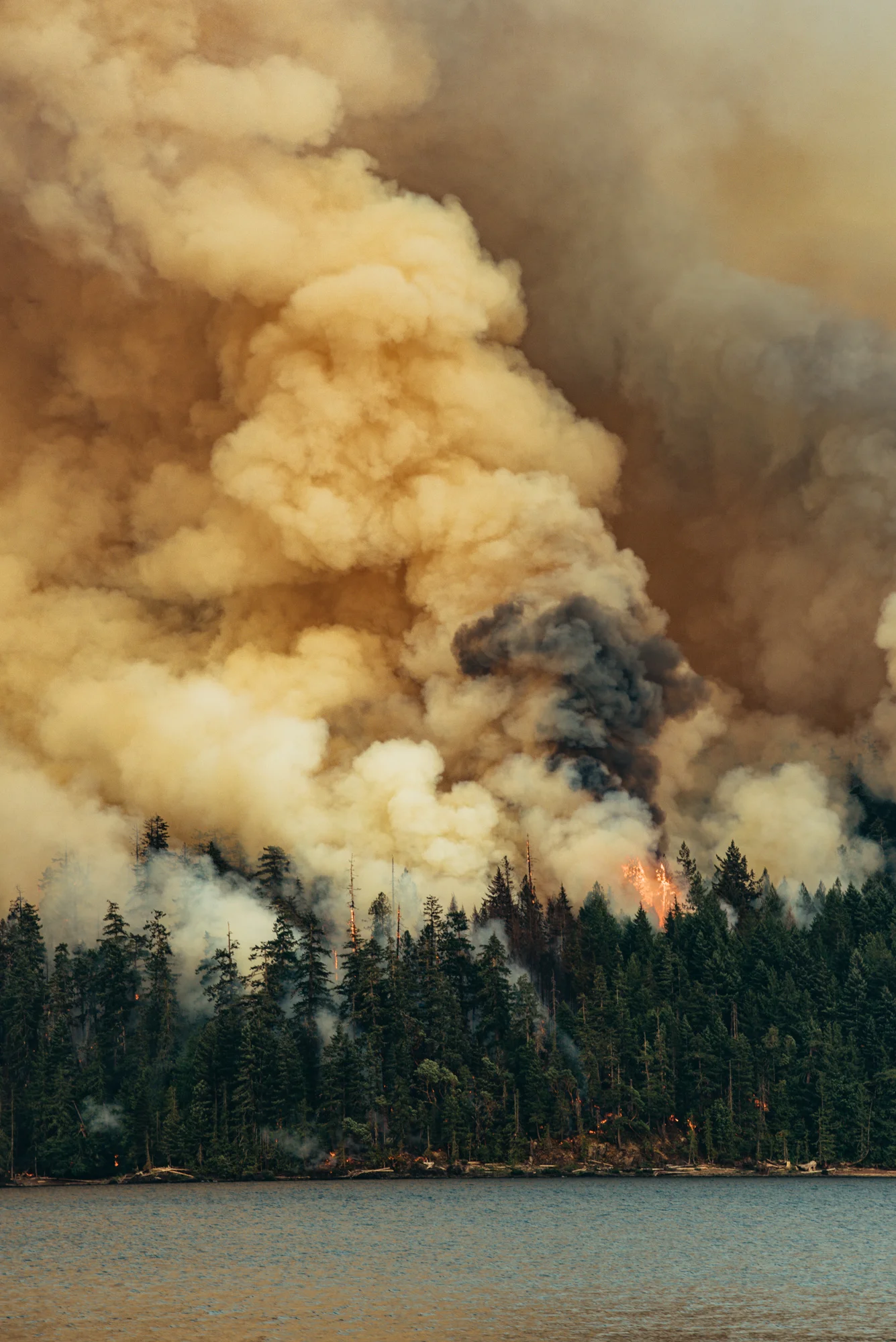 wildfire_dogmountain-DSC_8876-.jpg
