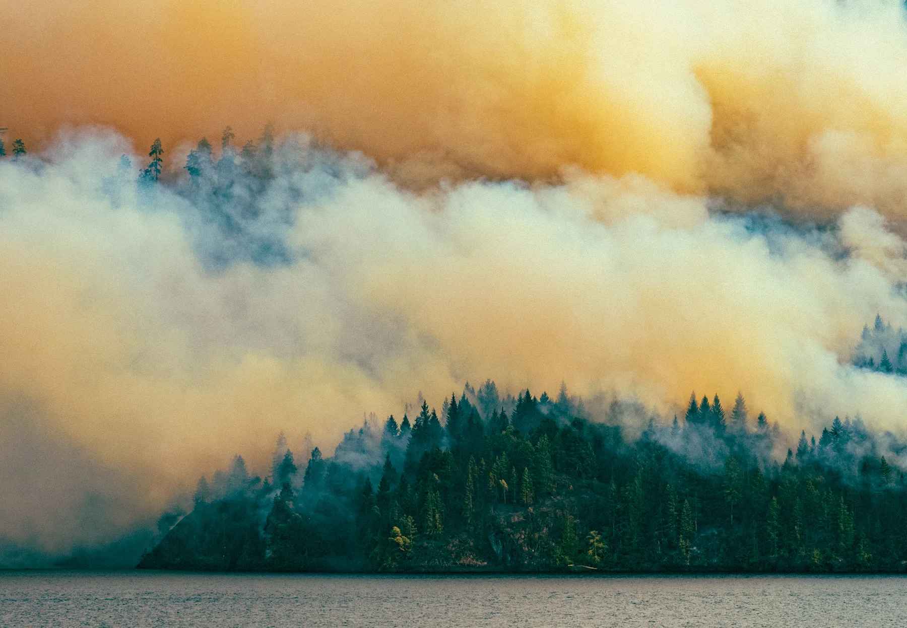 wildfire_DSC_8804-2_©_.jpg
