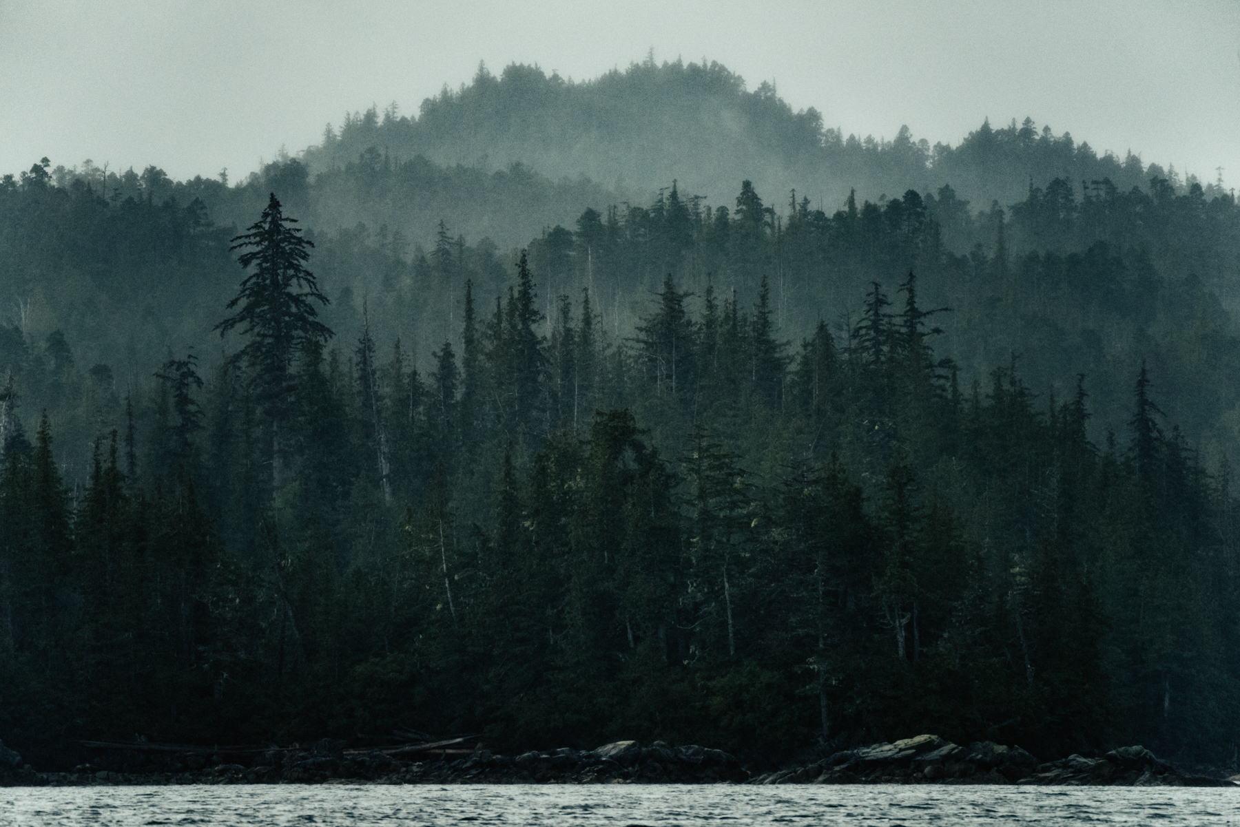 great_bear_gbr-circa1983-20160905-3539_©_-2.jpg