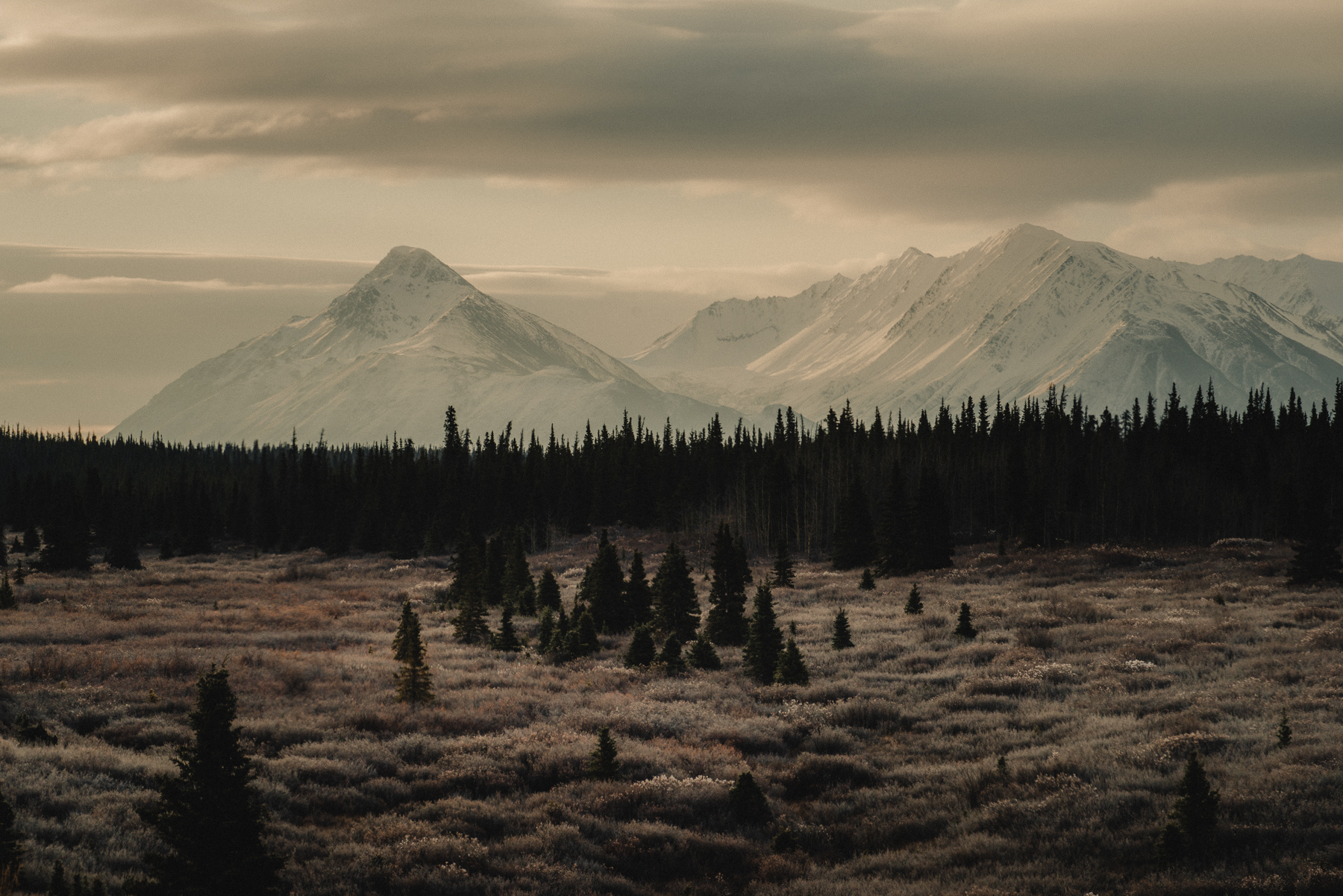 yukon-DSC_3649-Owen Perry & CIRCA 1983-2.jpg