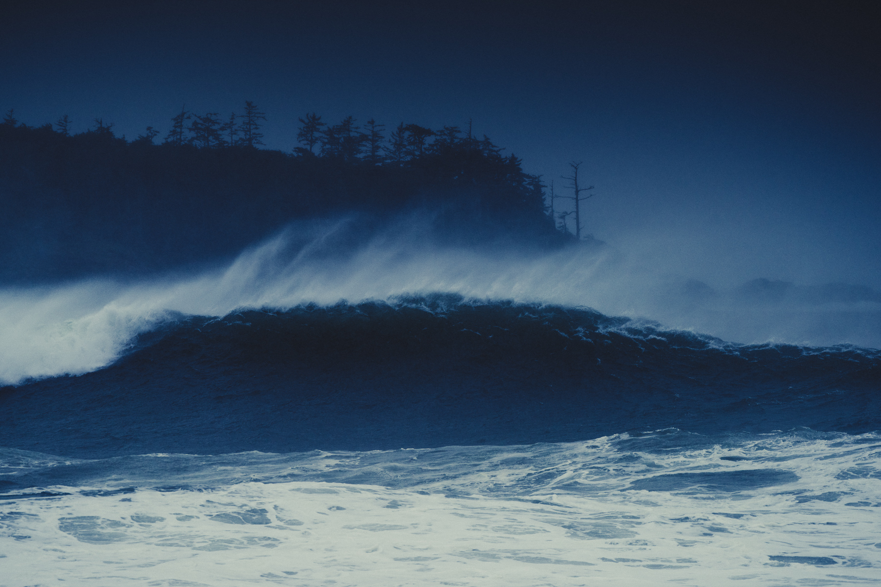 storm-DSC_5513-Owen Perry & CIRCA 1983.jpg