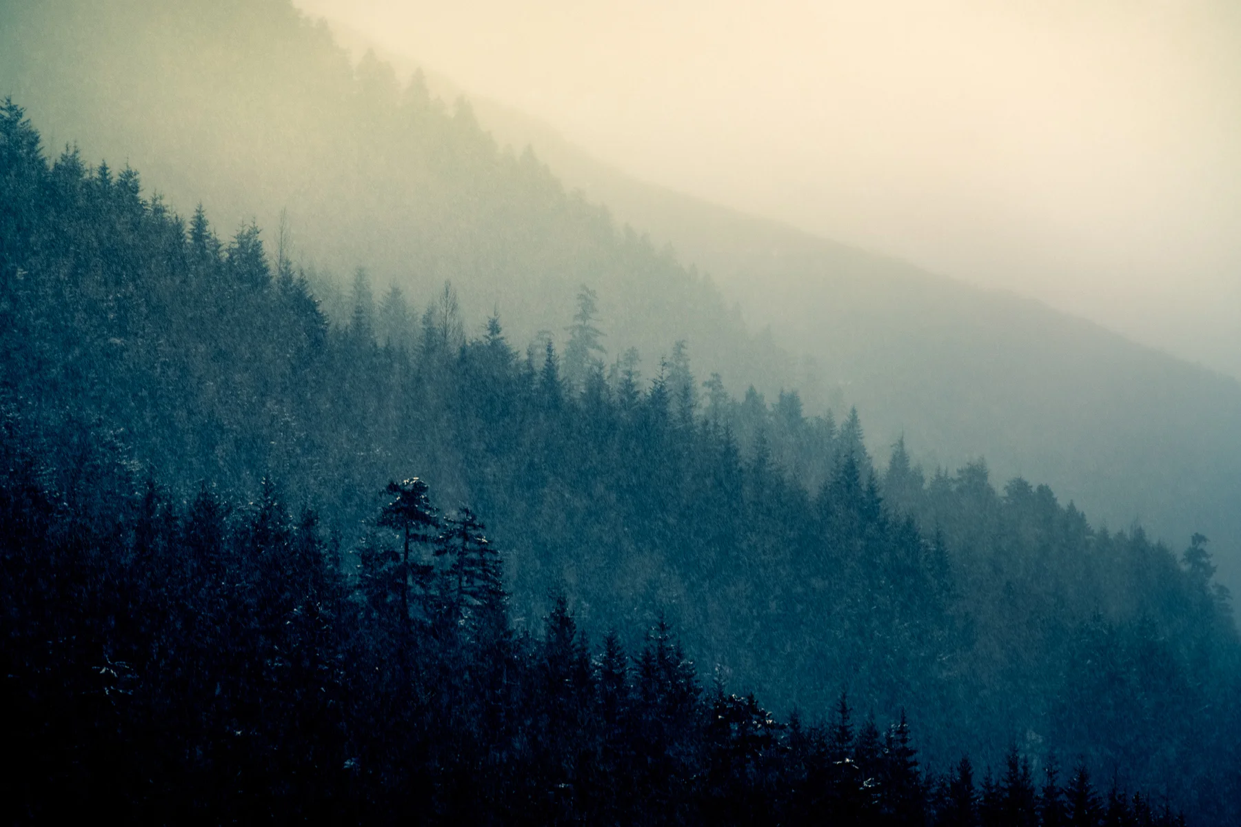 ATMOS-DSC_4731-2-2-.jpg