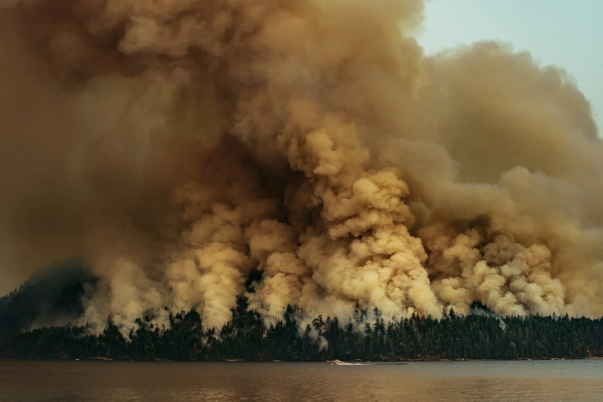 wildfire_dogmountain-DSC_8881-.jpg