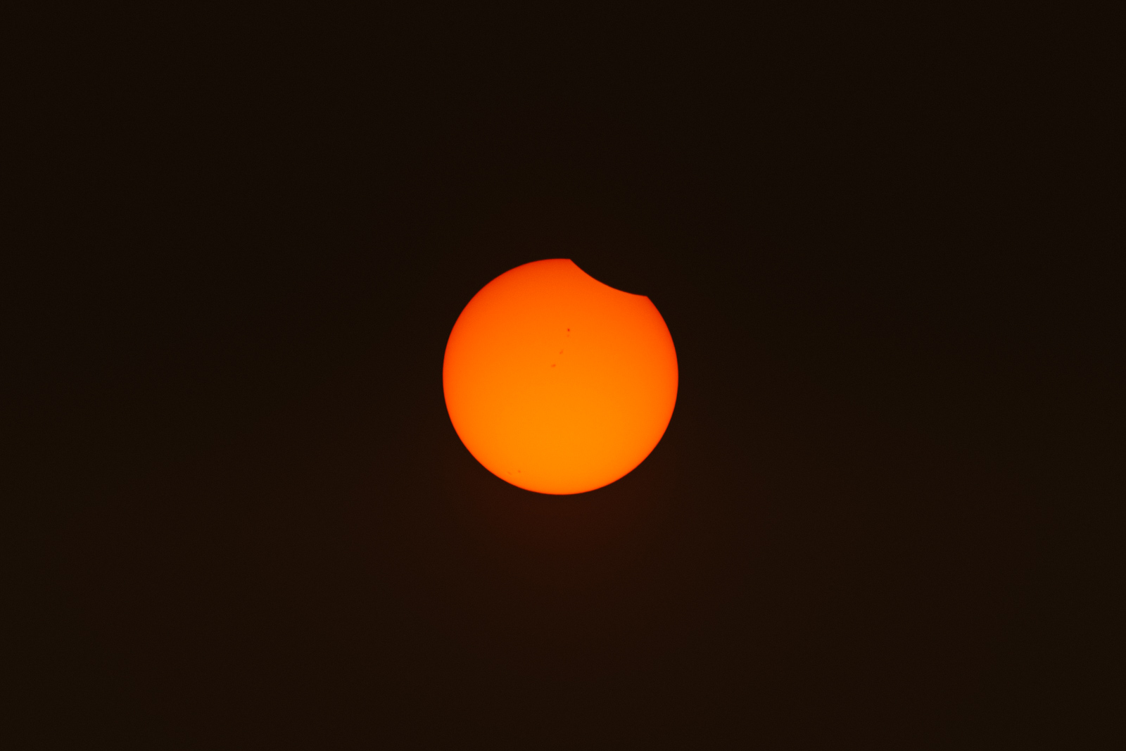 eclipse_2017-116.jpg