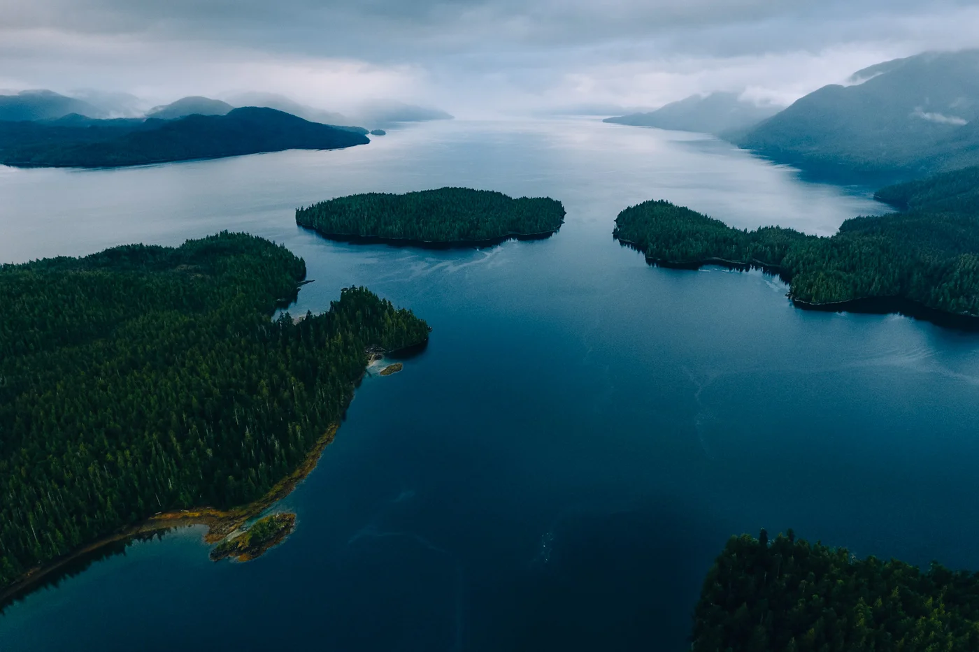 Whale Channel, Great Bear Rainforest