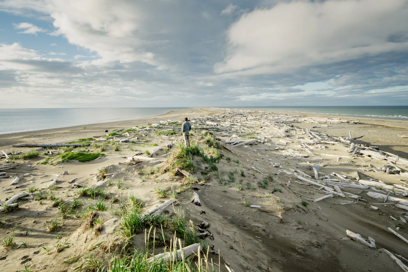 Rose Spit, Naikoon Provincial Park