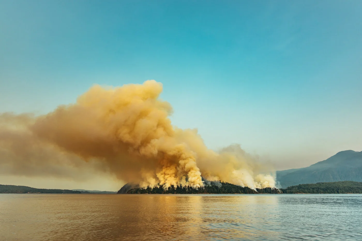 Dog Mountain Forest Fire