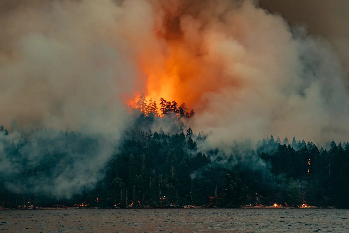 Dog Mountain Forest Fire