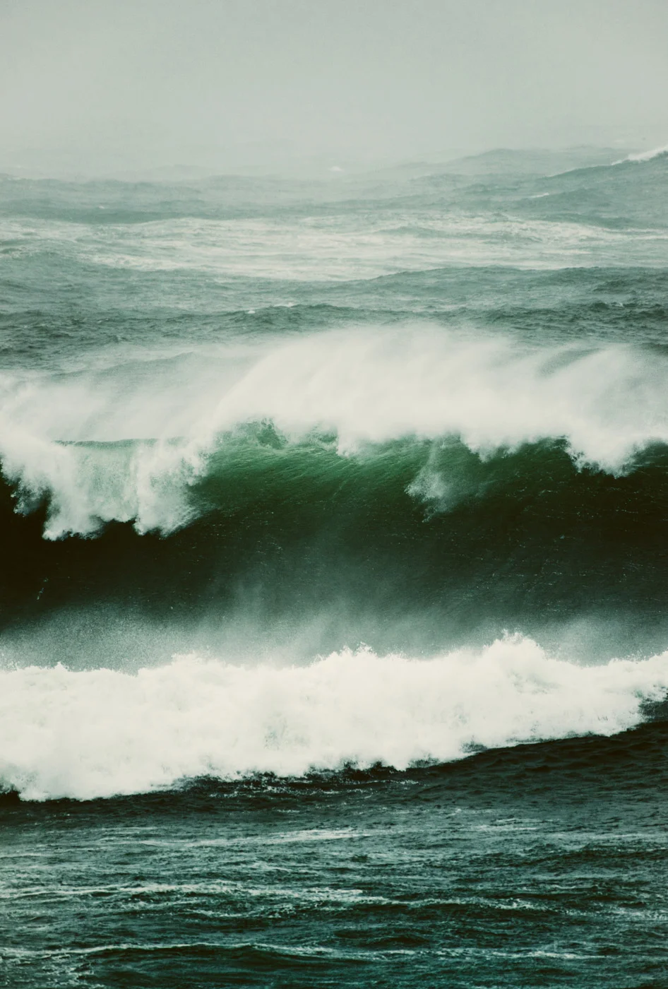 portfolio_images-7328.jpg