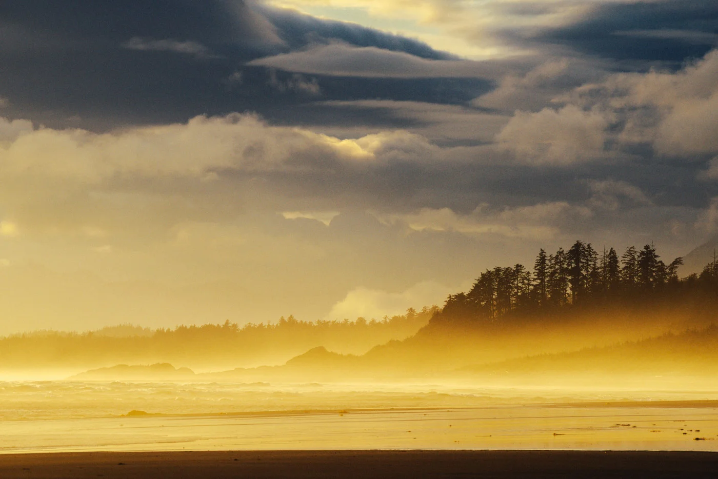 portfolio_images-3884.jpg