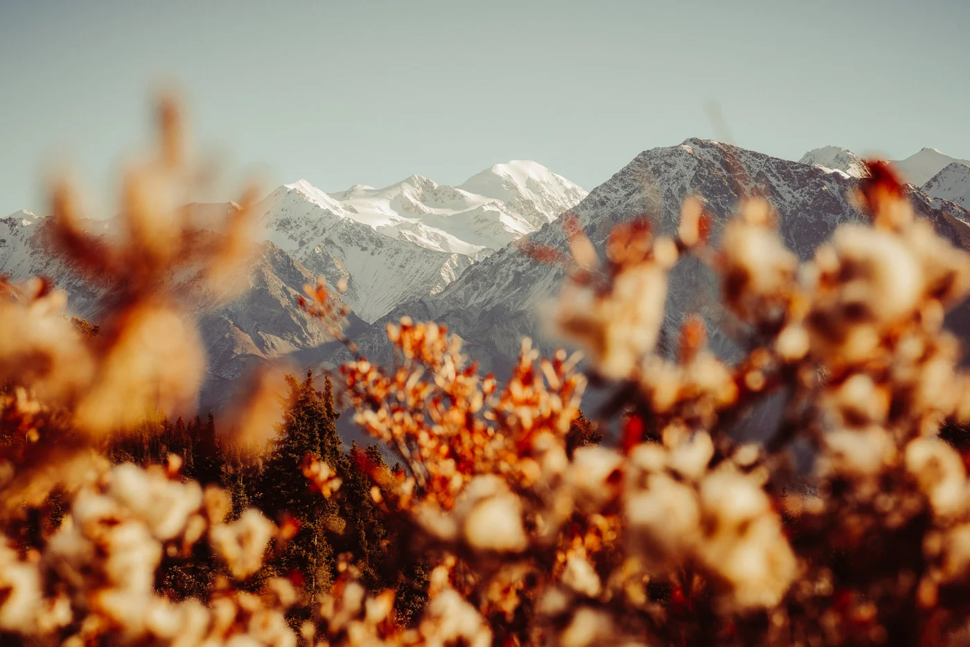 Autumn in Kluane