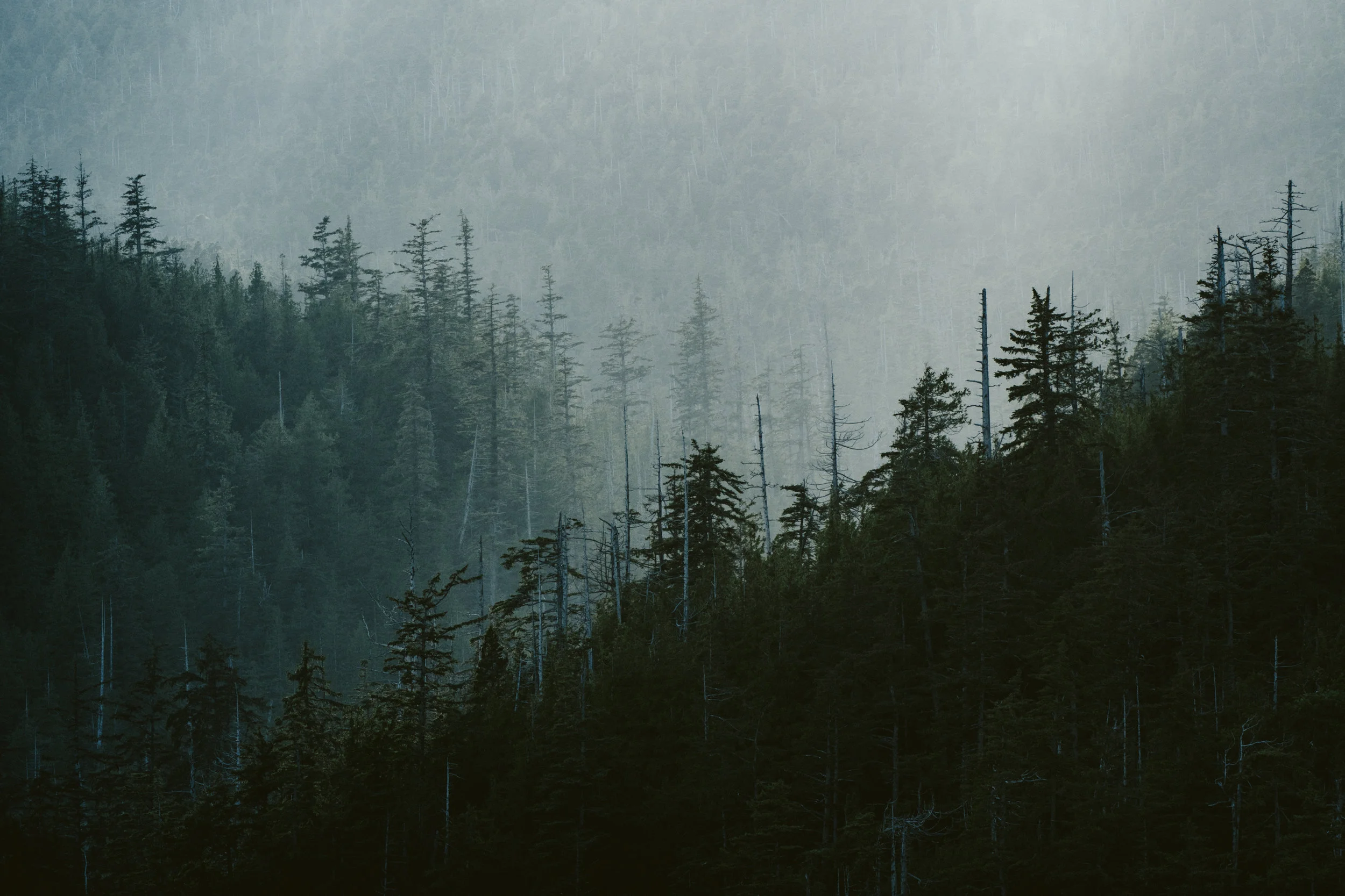 Gwaii Haanas Atmosphere