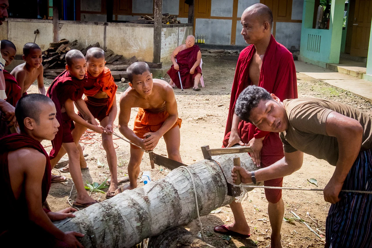  Monks cutting a big palm tree into manageable firewood, as seen in a monastery in Nyanungbin, Indawgyi Lake.  Burma 2015 - Francesco Vicenzi Photography 