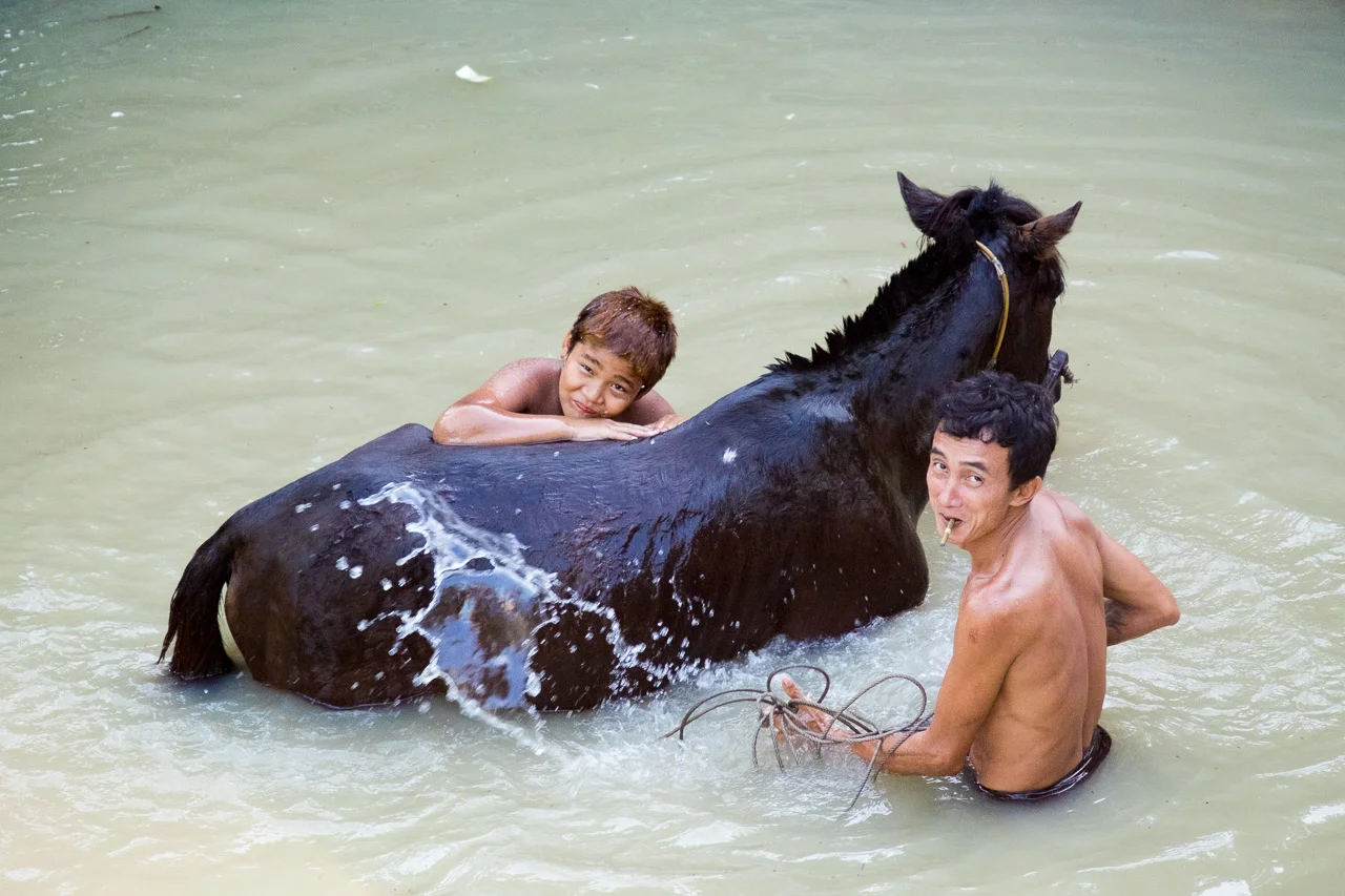  After a scorching day in Mrauk U, I stumbled across this lovely scene. A father and son washing/cooling their horse after a hard days work.  Burma 2015 - Francesco Vicenzi Photography 