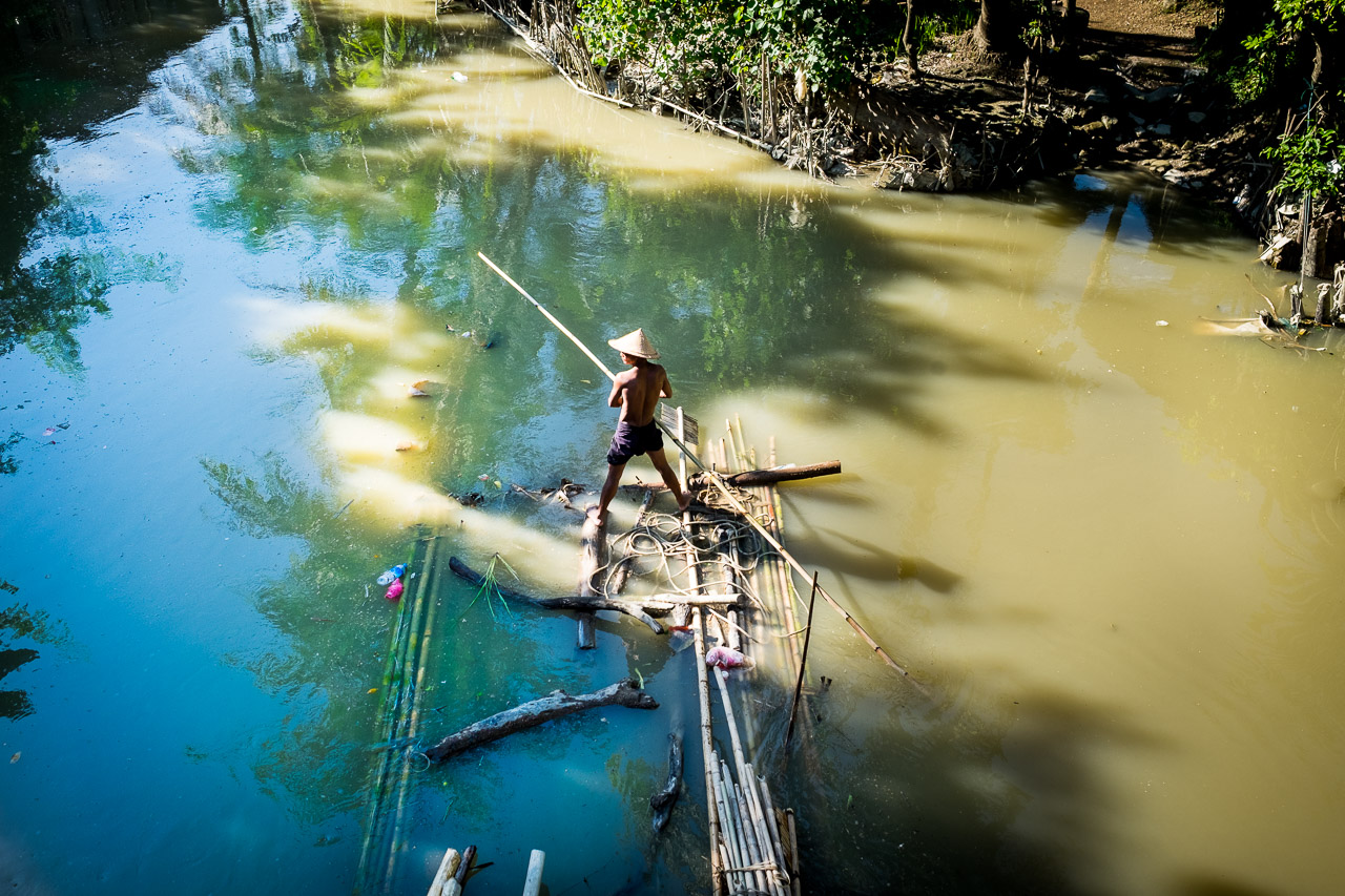  Bamboo trade. Bamboo sticks are tied together &nbsp;in a makeshift raft and sailed downstream for selling at the market.  Burma 2015 - Francesco Vicenzi Photography 