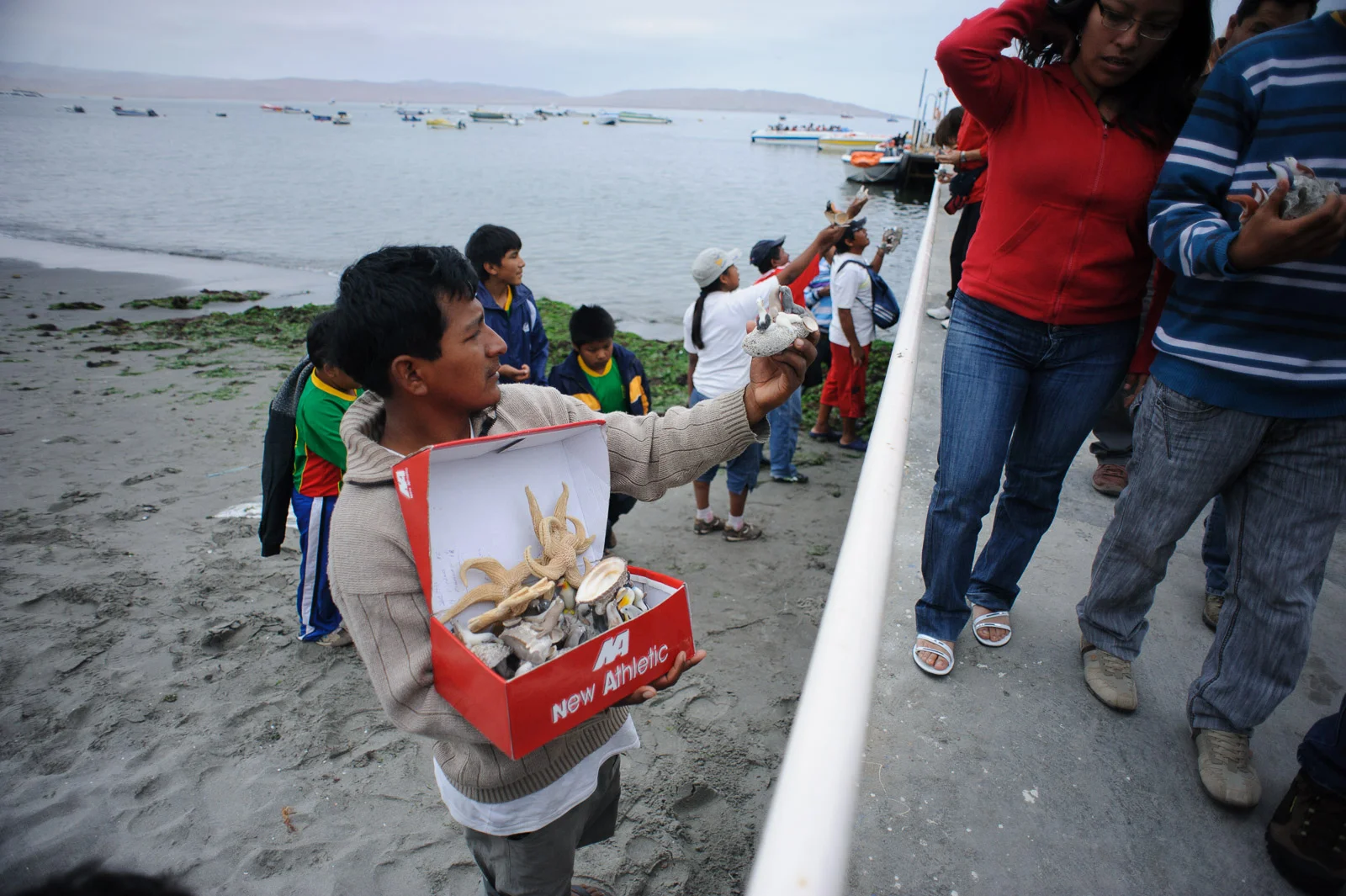  Islas Ballesta, Peru 2010 