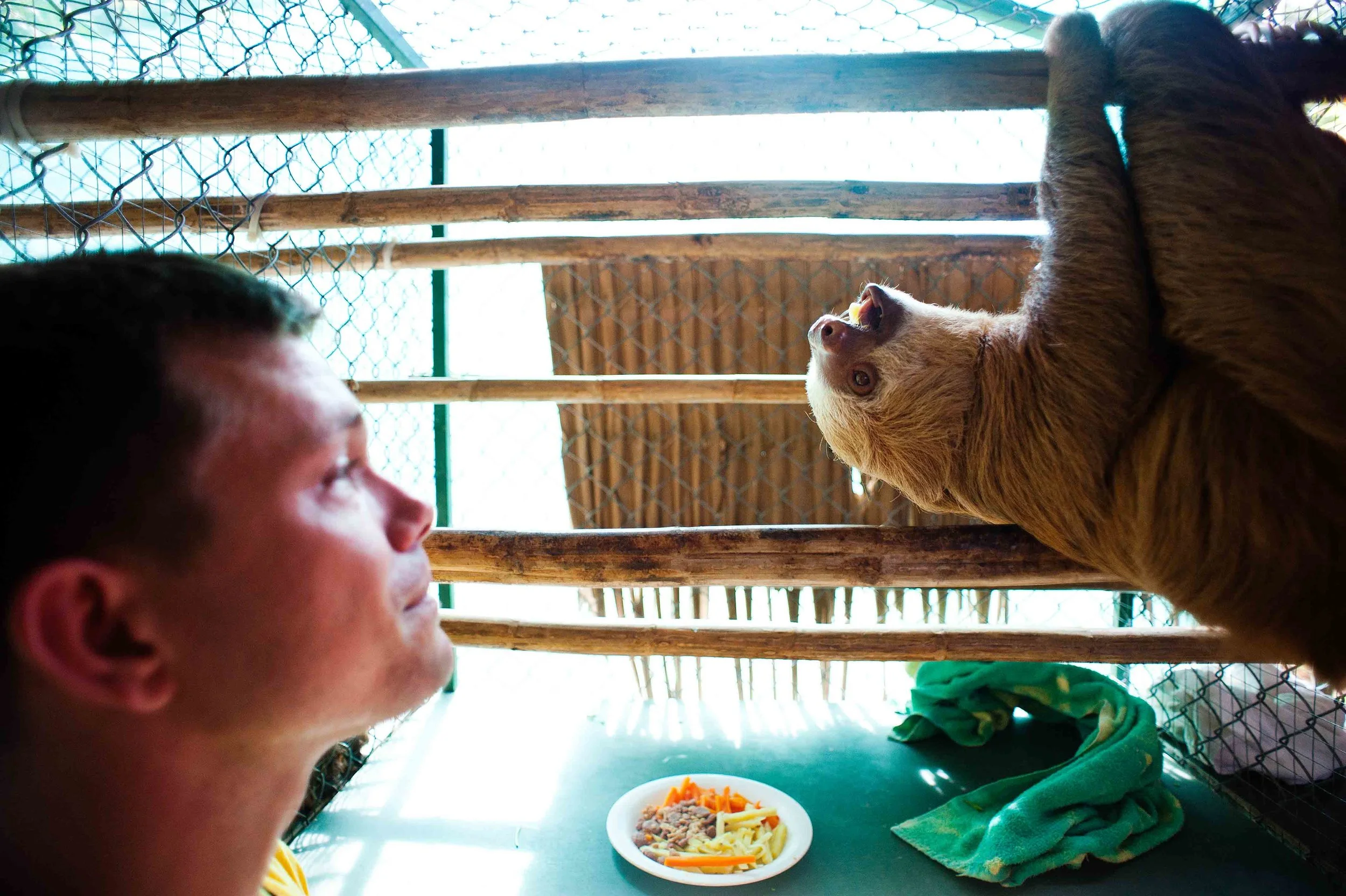  The Sloth Center - Cahuita - Costa Rica - 2010 