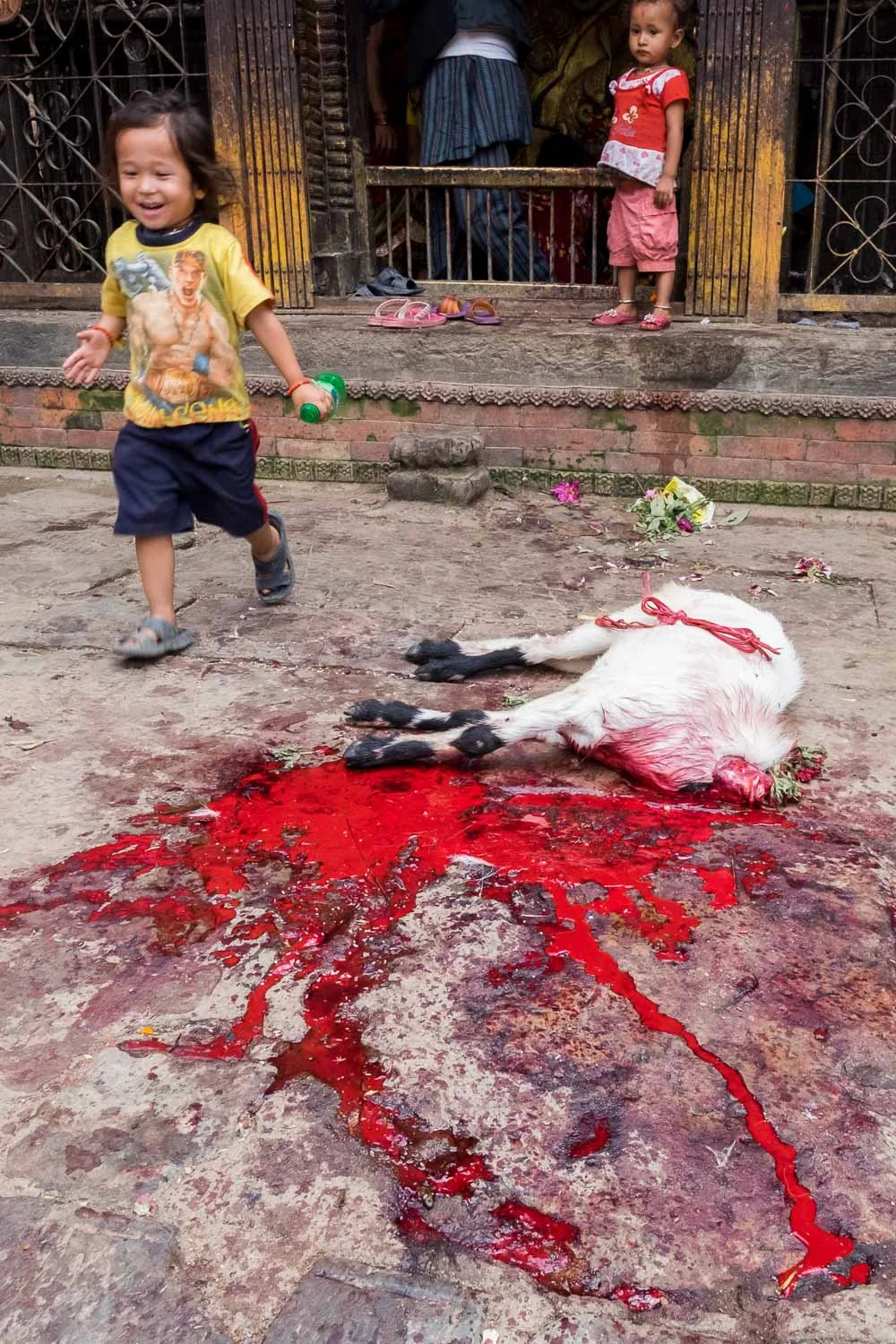  Nepal 2015, Francesco Vicenzi Photography 