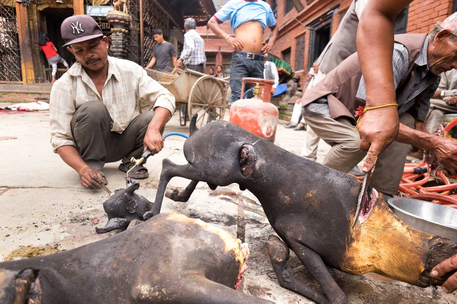  Nepal 2015, Francesco Vicenzi Photography 