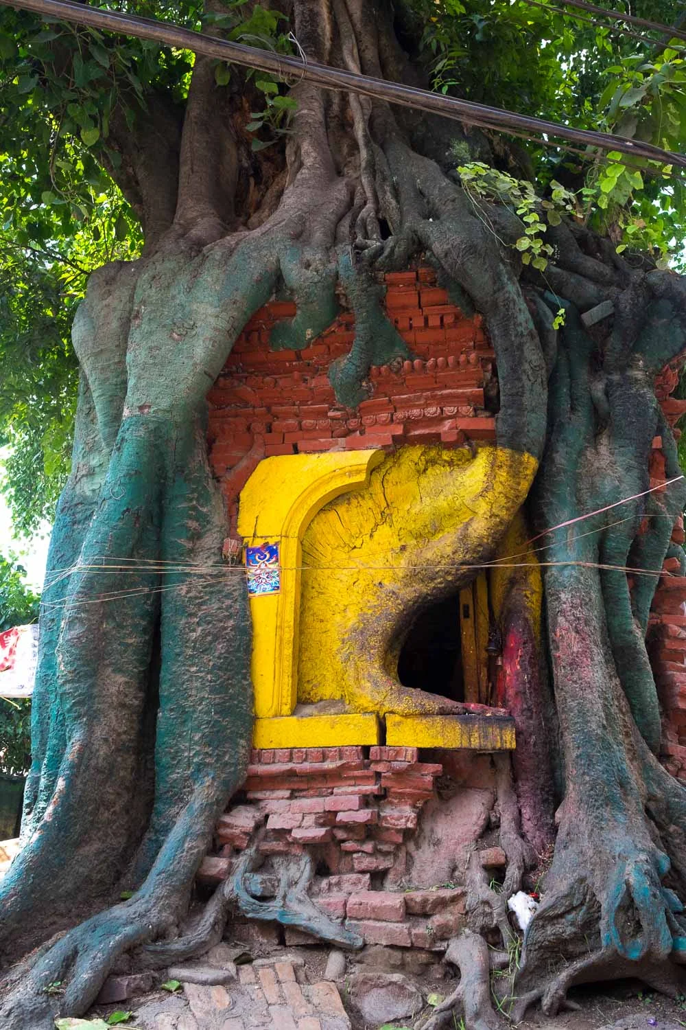  Nepal 2015, Francesco Vicenzi Photography 