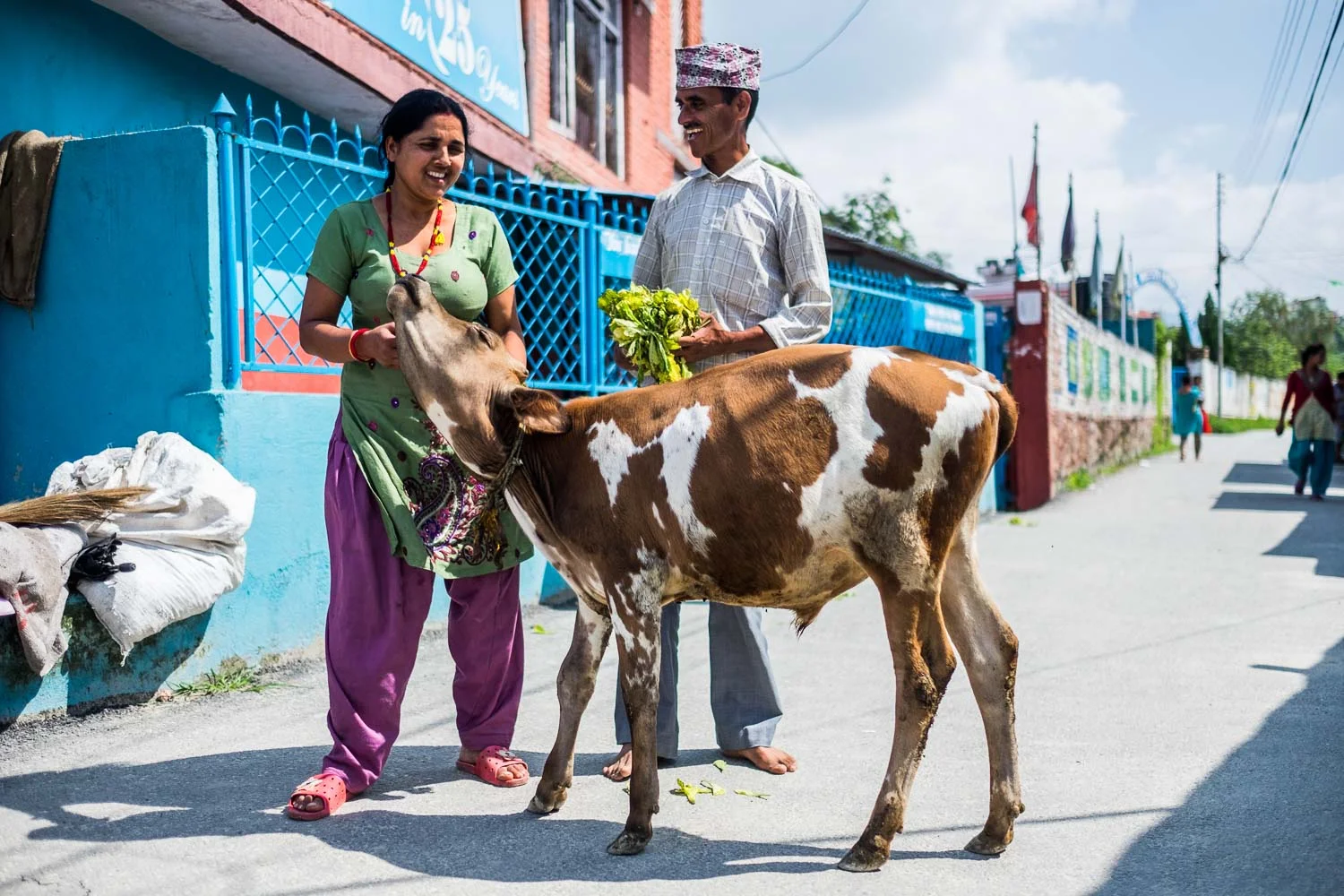  Nepal 2015, Francesco Vicenzi Photography 