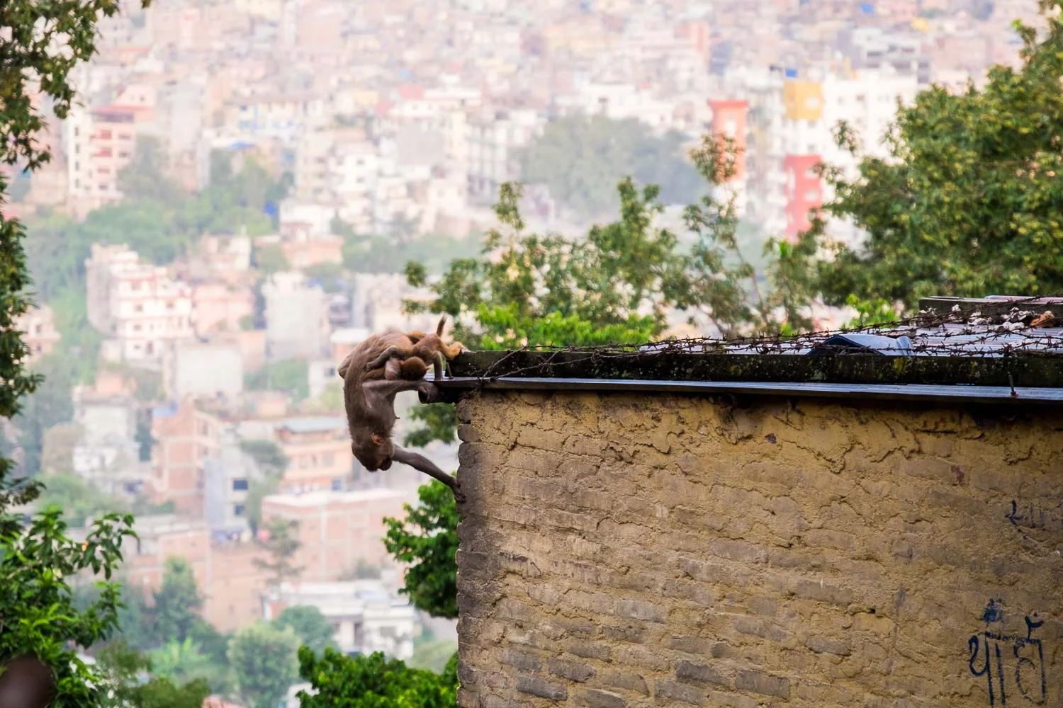  Nepal 2015, Francesco Vicenzi Photography 