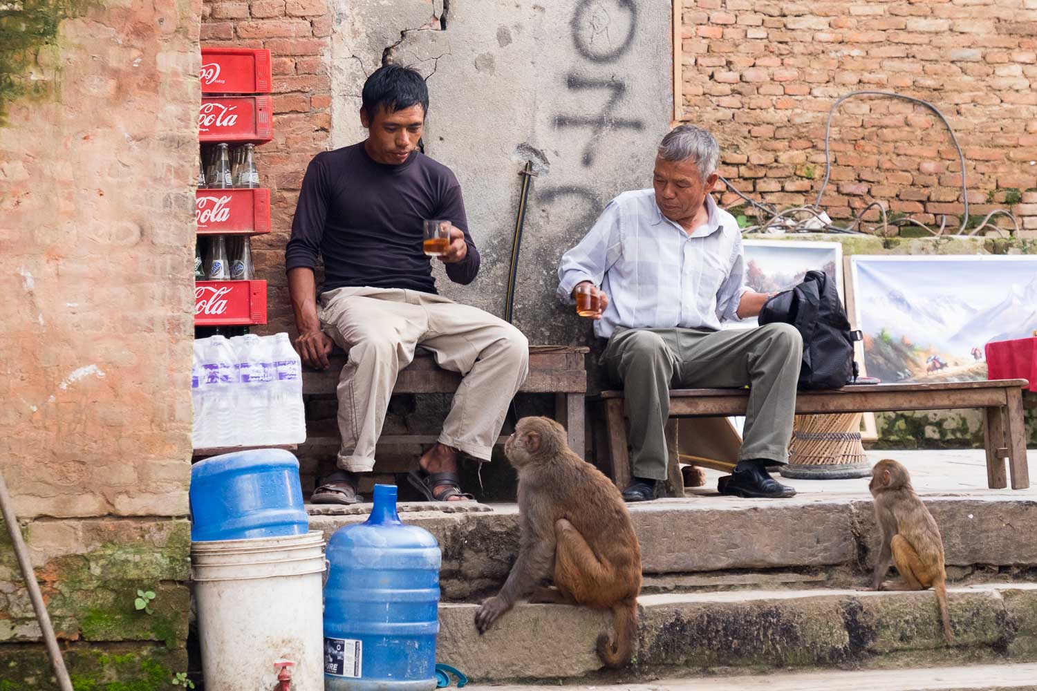  Nepal 2015, Francesco Vicenzi Photography 