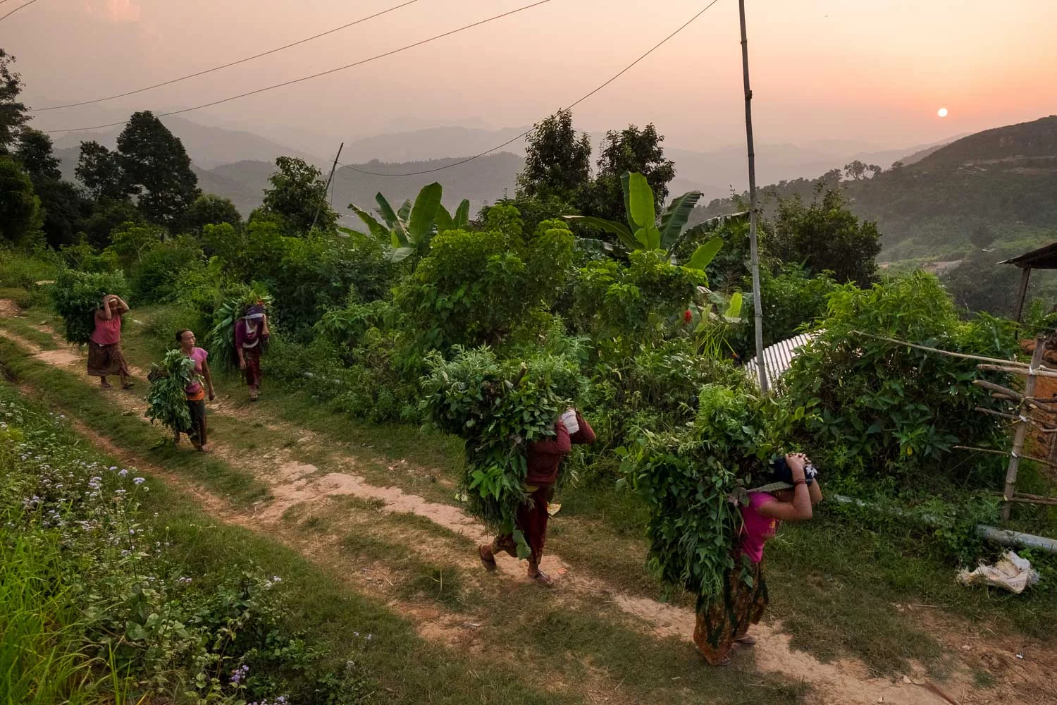  Nepal 2015, Francesco Vicenzi Photography 