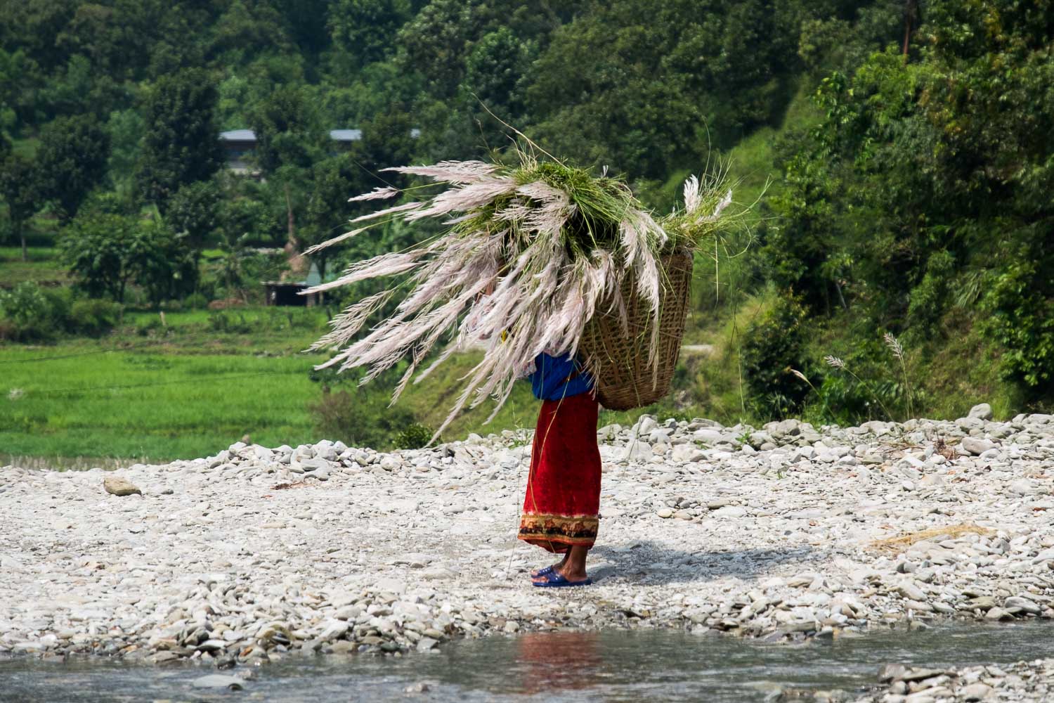  Nepal 2015, Francesco Vicenzi Photography 