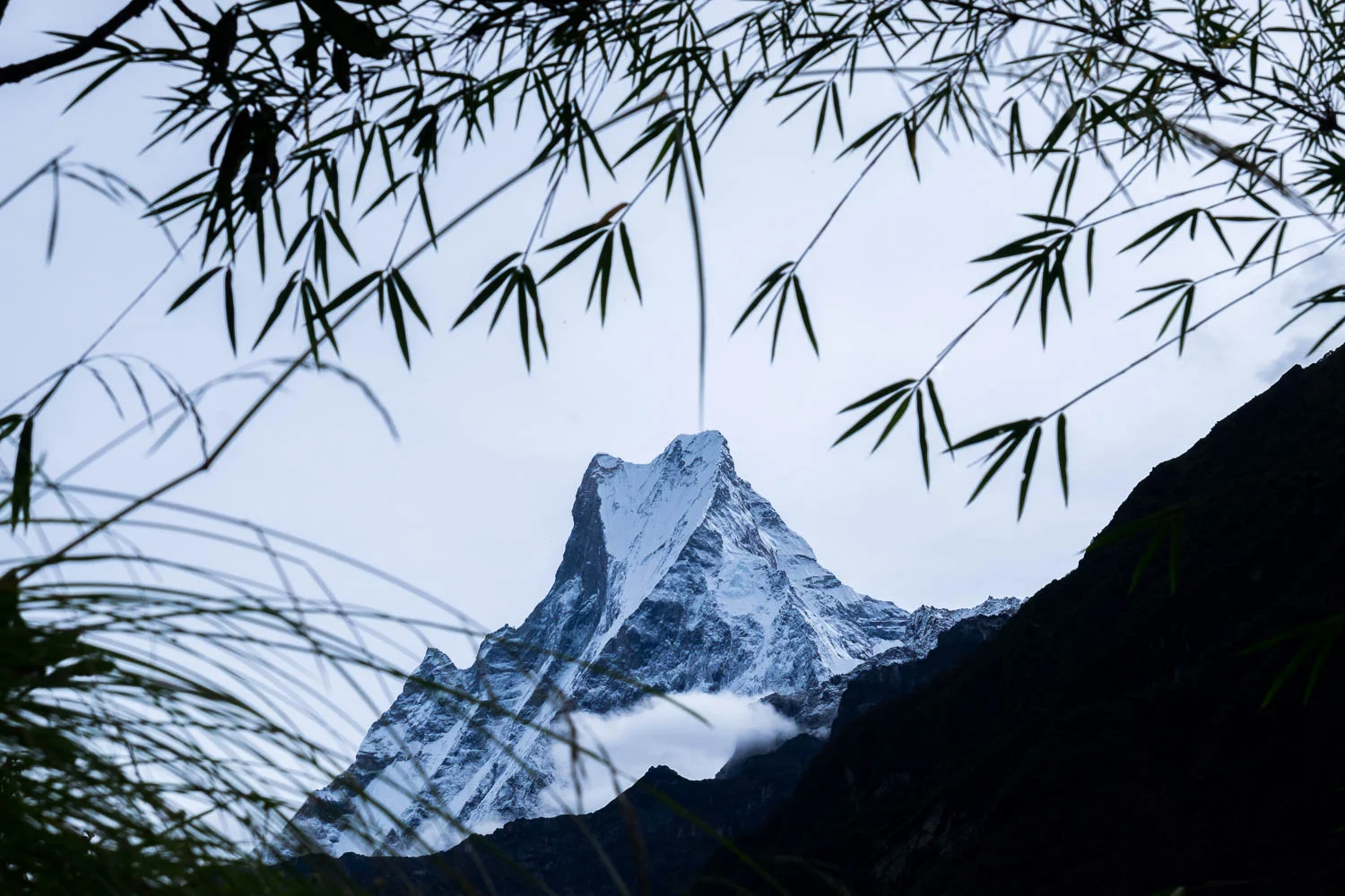  Nepal 2015, Francesco Vicenzi Photography 