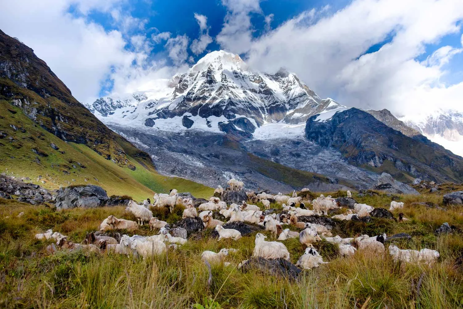  Nepal 2015, Francesco Vicenzi Photography 