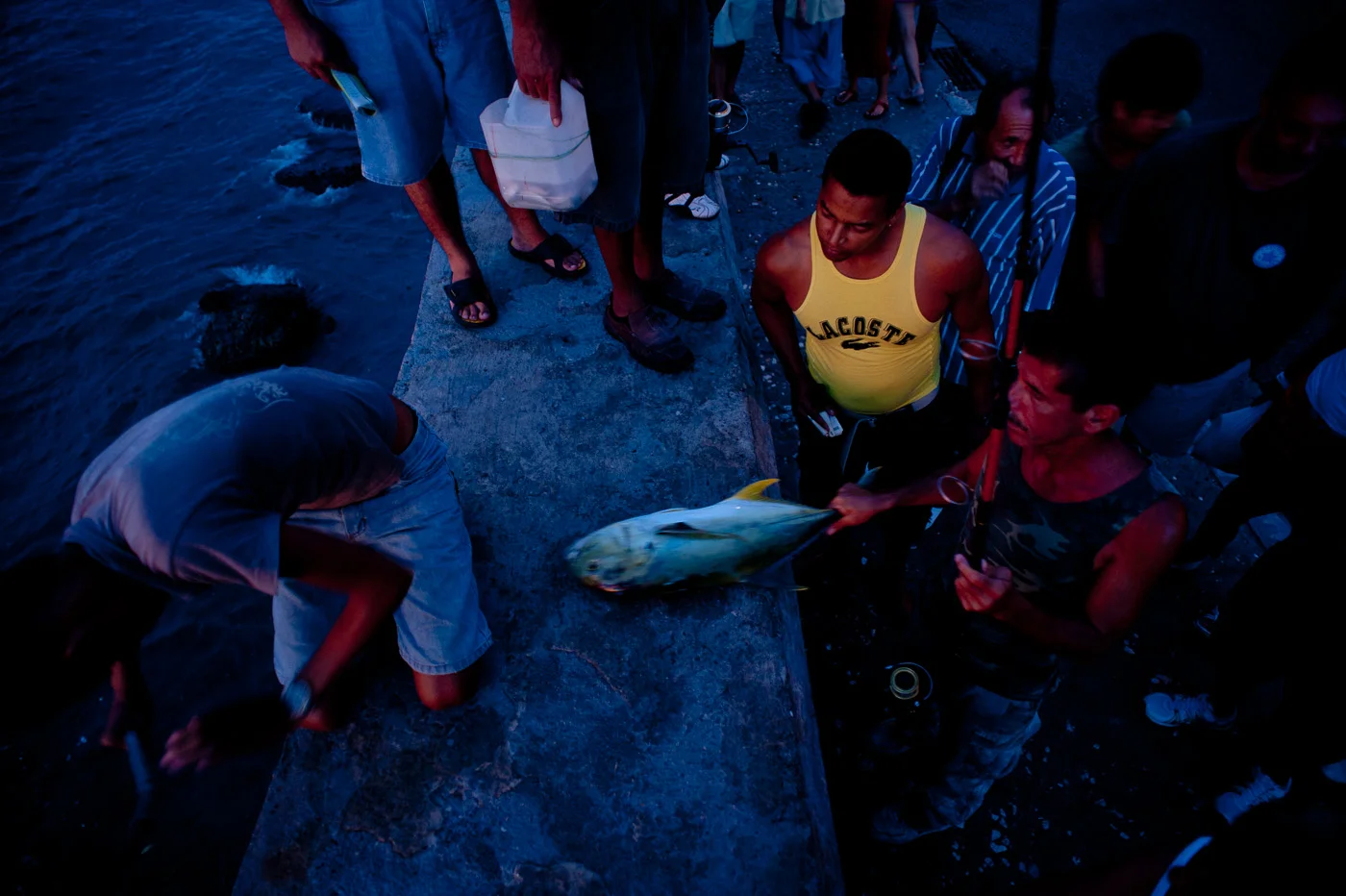  Cuba and the Cubans, 2010 