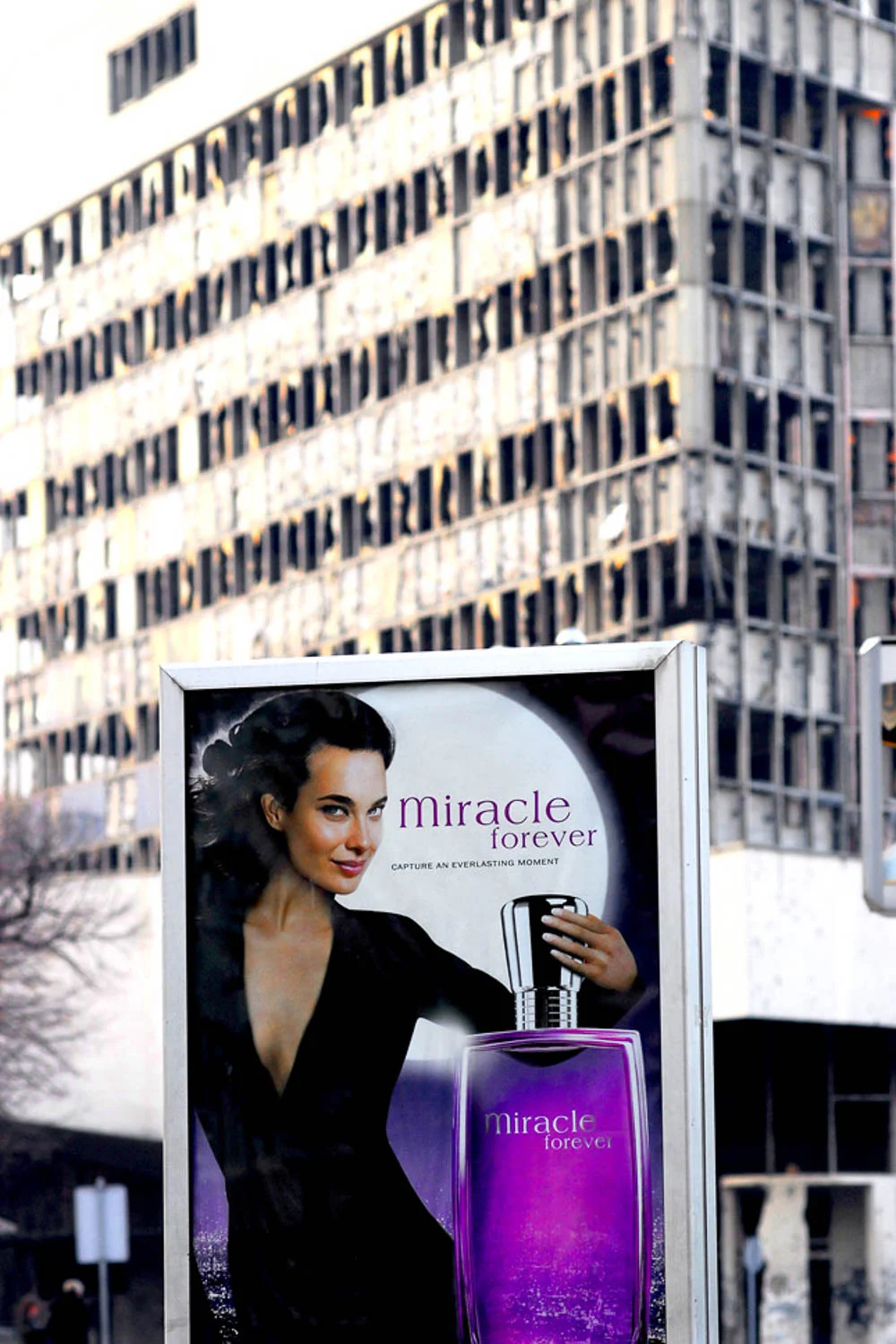 resized_P_news12.jpg