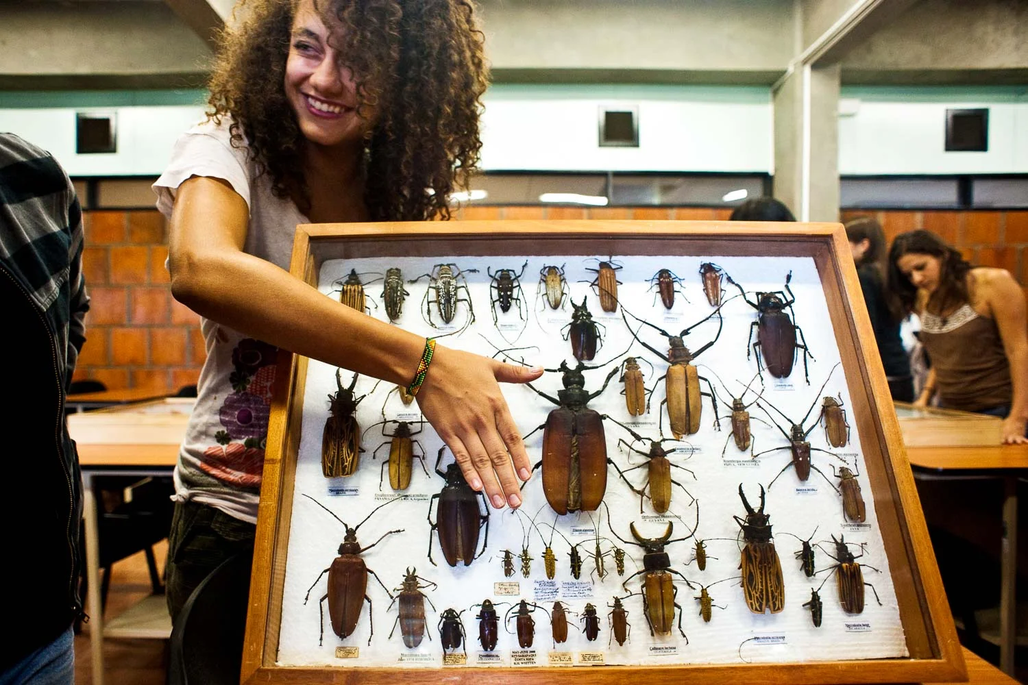  Richard Whittens and his wife Margaret donate the biggest private collection of tropical insect to Ucr Biology department. The collection consist of 100 boxes and several thousand of insect, collected during the couple's life. In a crowdy presentation biology students, visitors and curious could watch a sample of 10 boxes, including rare pieces as the biggest spider in the world. In the photo Noelia, a biology student use his hand to measure a giant bug. Francesco Vicenzi 