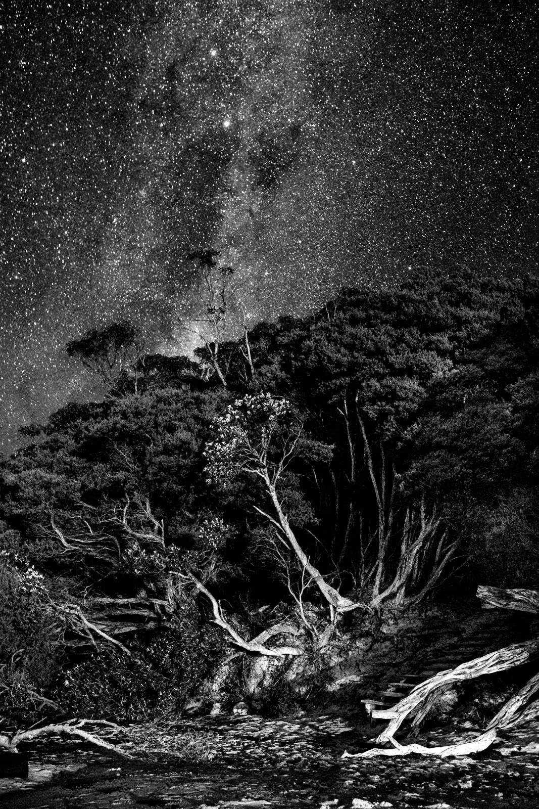 refuge-coveBW_3.jpg