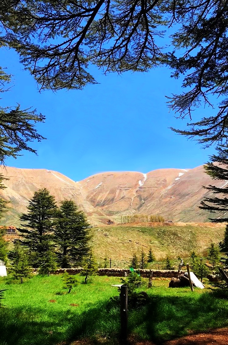 Cedars , Bsharri & Kozhaya Day Tour - April 2018