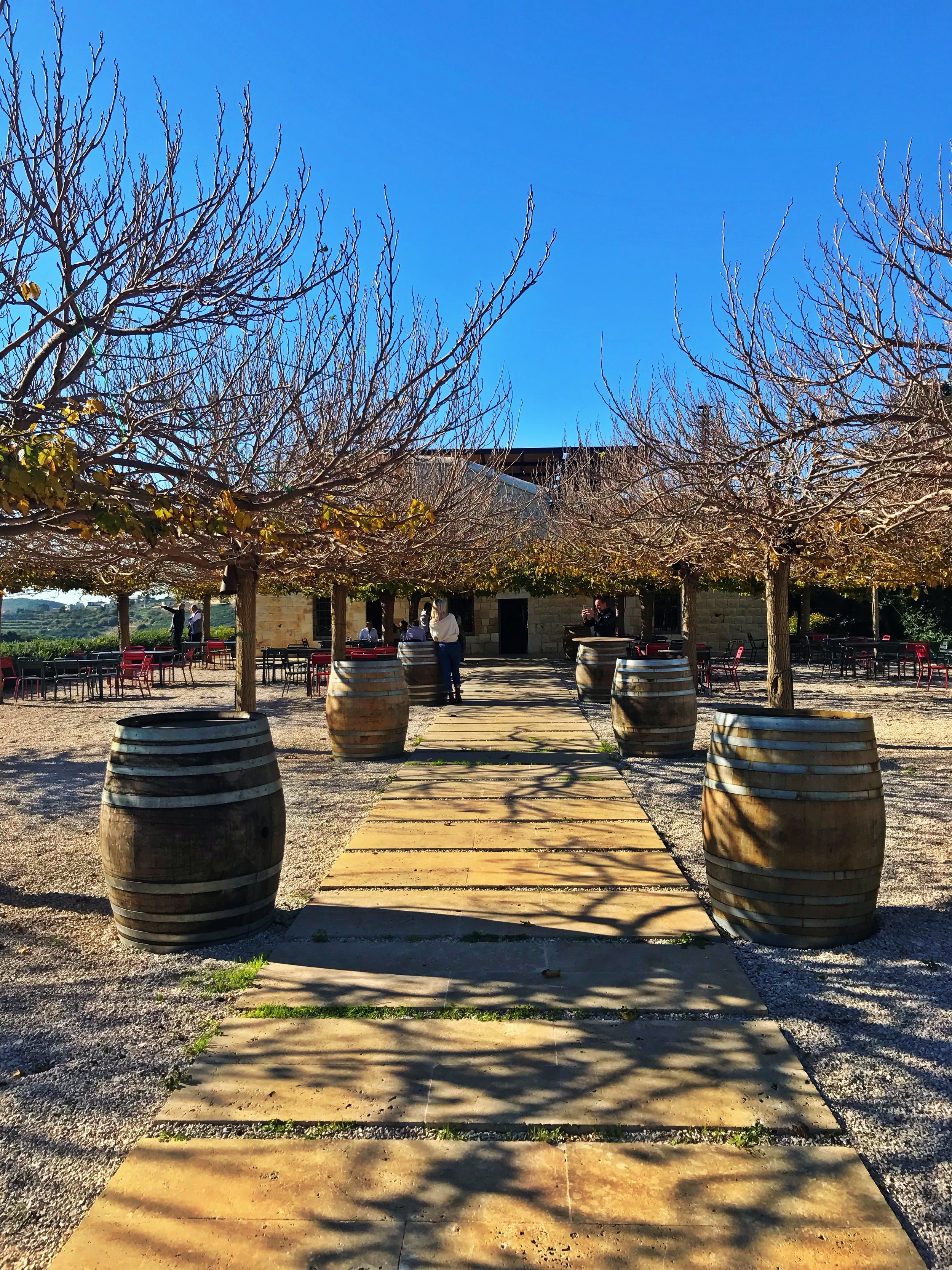 Ixsir Winery