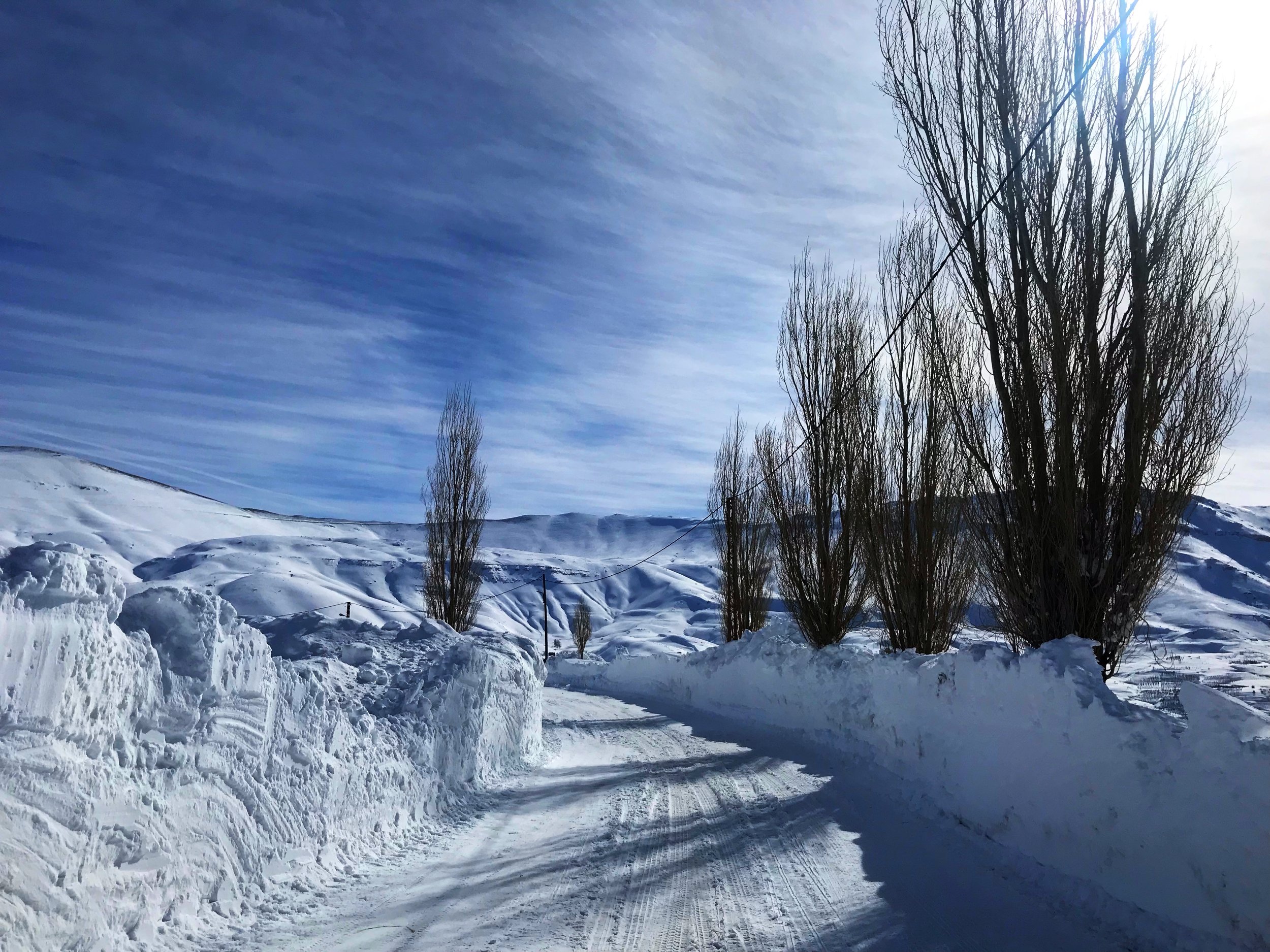 Cedars / Bsharri - January 2019