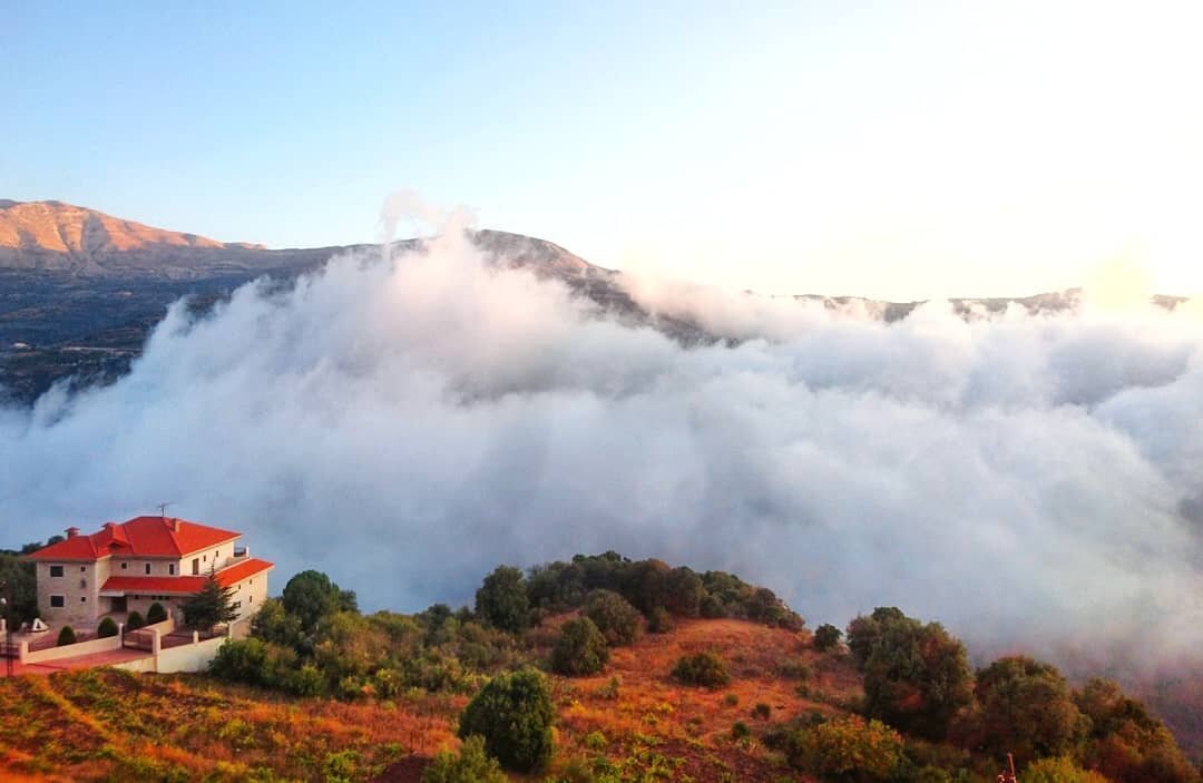 🇱🇧 Above the clouds 🇱🇧
📍blawza, bcharr&eacute;
.
.
Immerse yourself into the mountains and valleys of the countries interior.
These clouds fill the kadisha valley every afternoon during autumn and winter
.
Book your tour
Www.explorelebanontours.