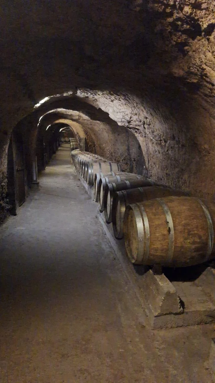 Ksara winery Explore Lebanon Tours.jpeg