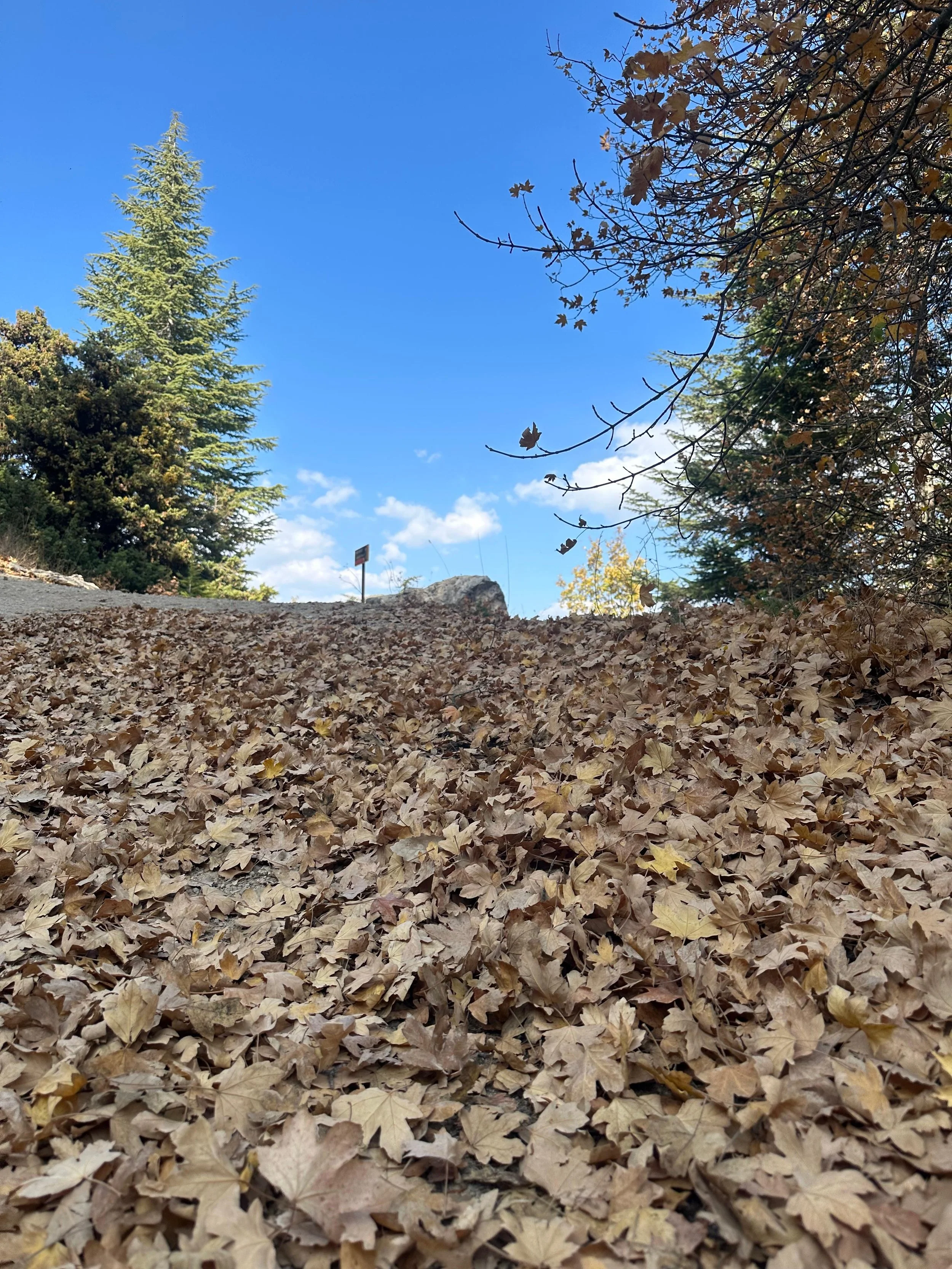 Private hike with Explore Lebanon Tours