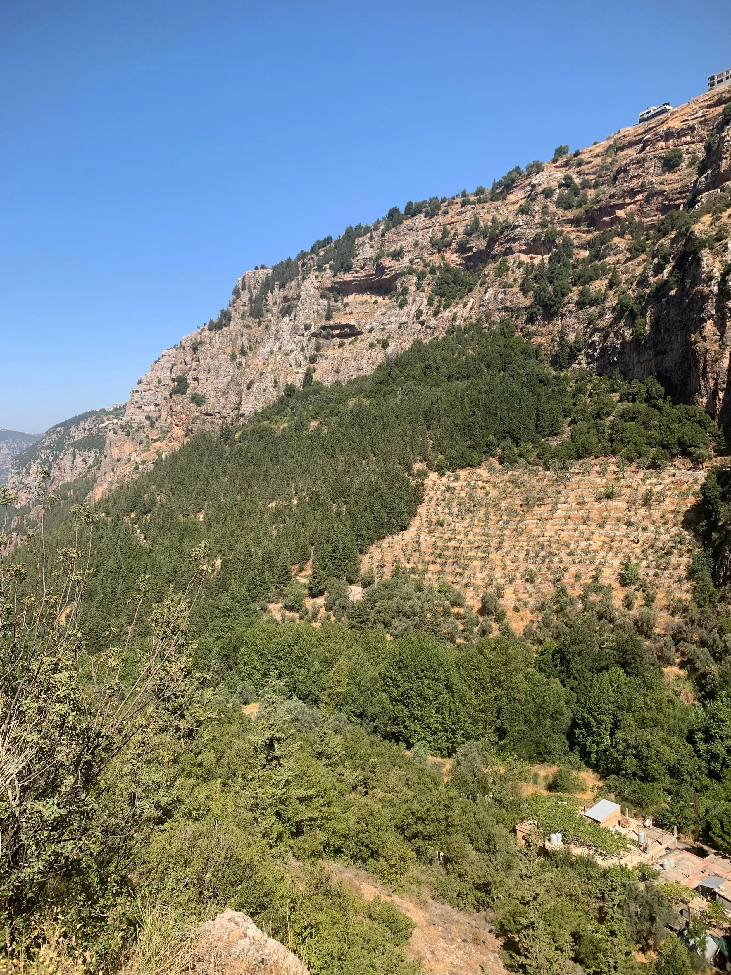 Quadisha valley with Explore Lebanon Tours.jpeg