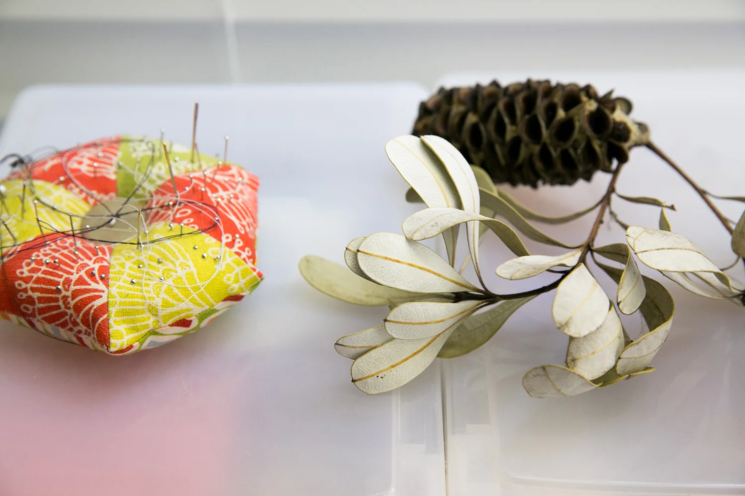 Pin cushion & Banksia seed pod - photo by encapture.com.au