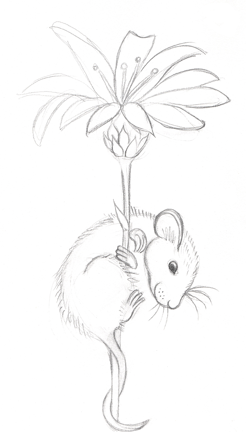 sketch of a mouse on a daisy 