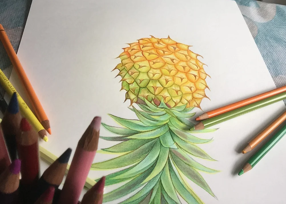 AnnaLloyd_pineapple.jpg